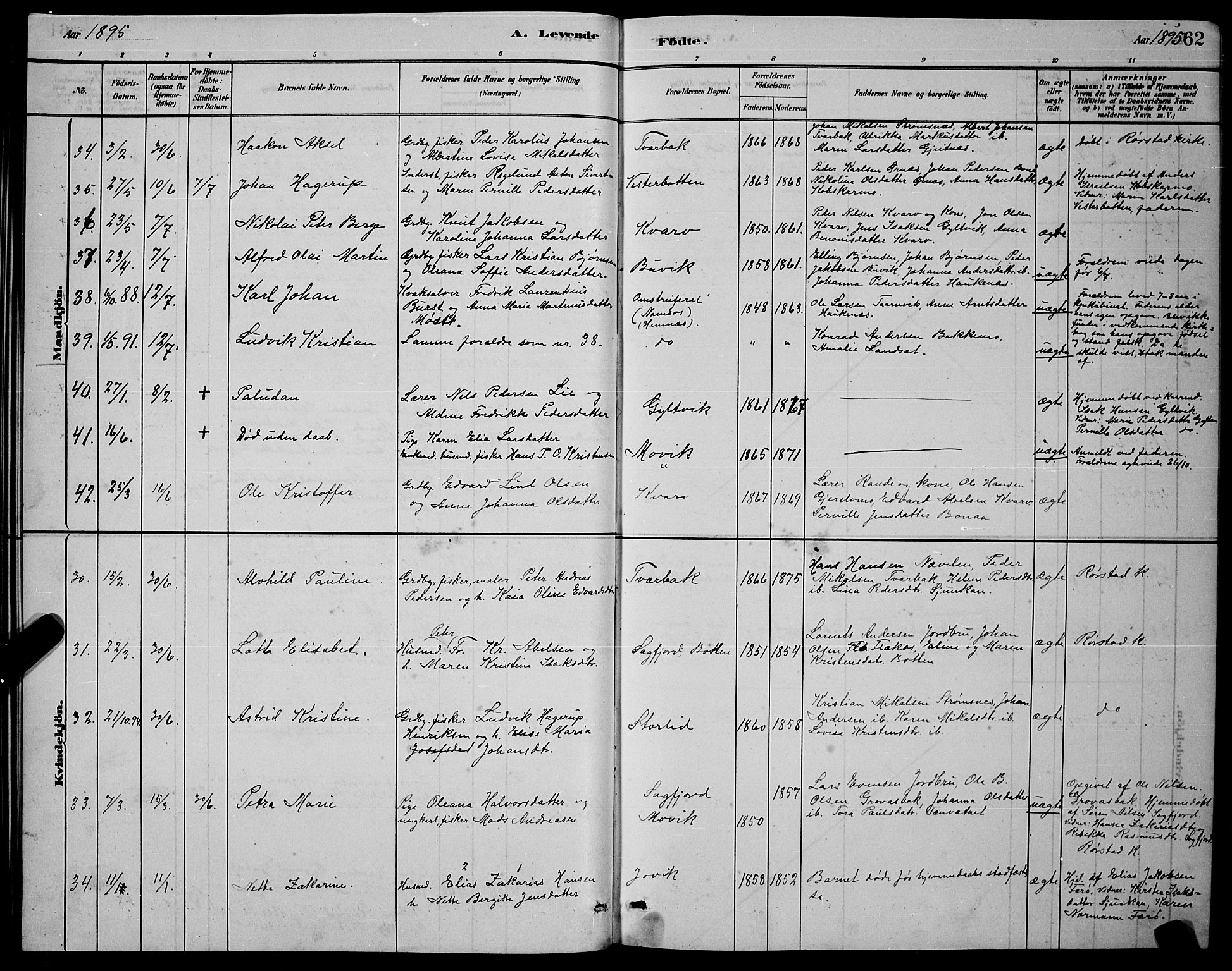 Ministerialprotokoller, klokkerbøker og fødselsregistre - Nordland, AV/SAT-A-1459/853/L0772: Parish register (official) no. 853A11, 1881-1900, p. 62