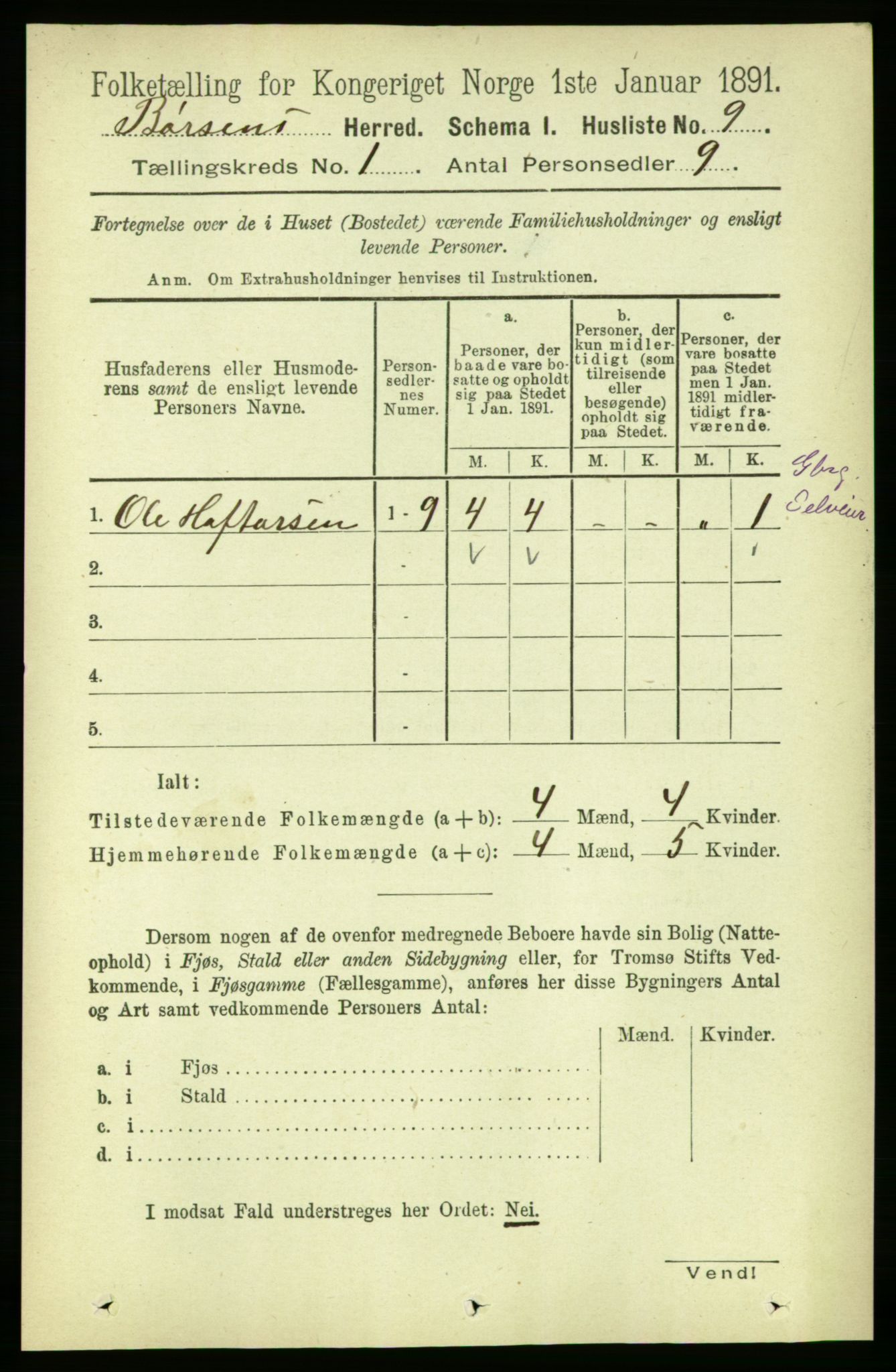 RA, 1891 census for 1658 Børsa, 1891, p. 27