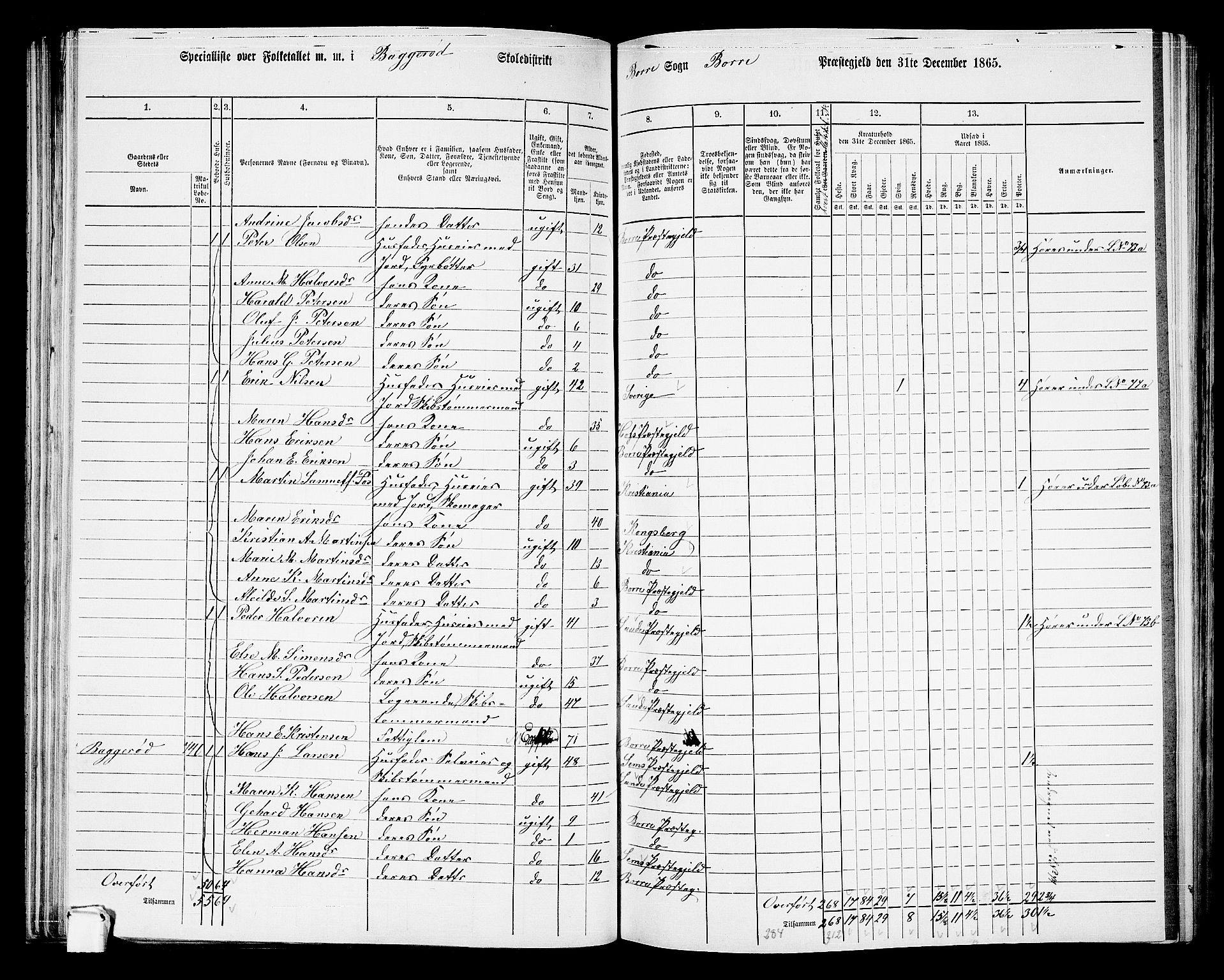 RA, 1865 census for Borre, 1865, p. 96