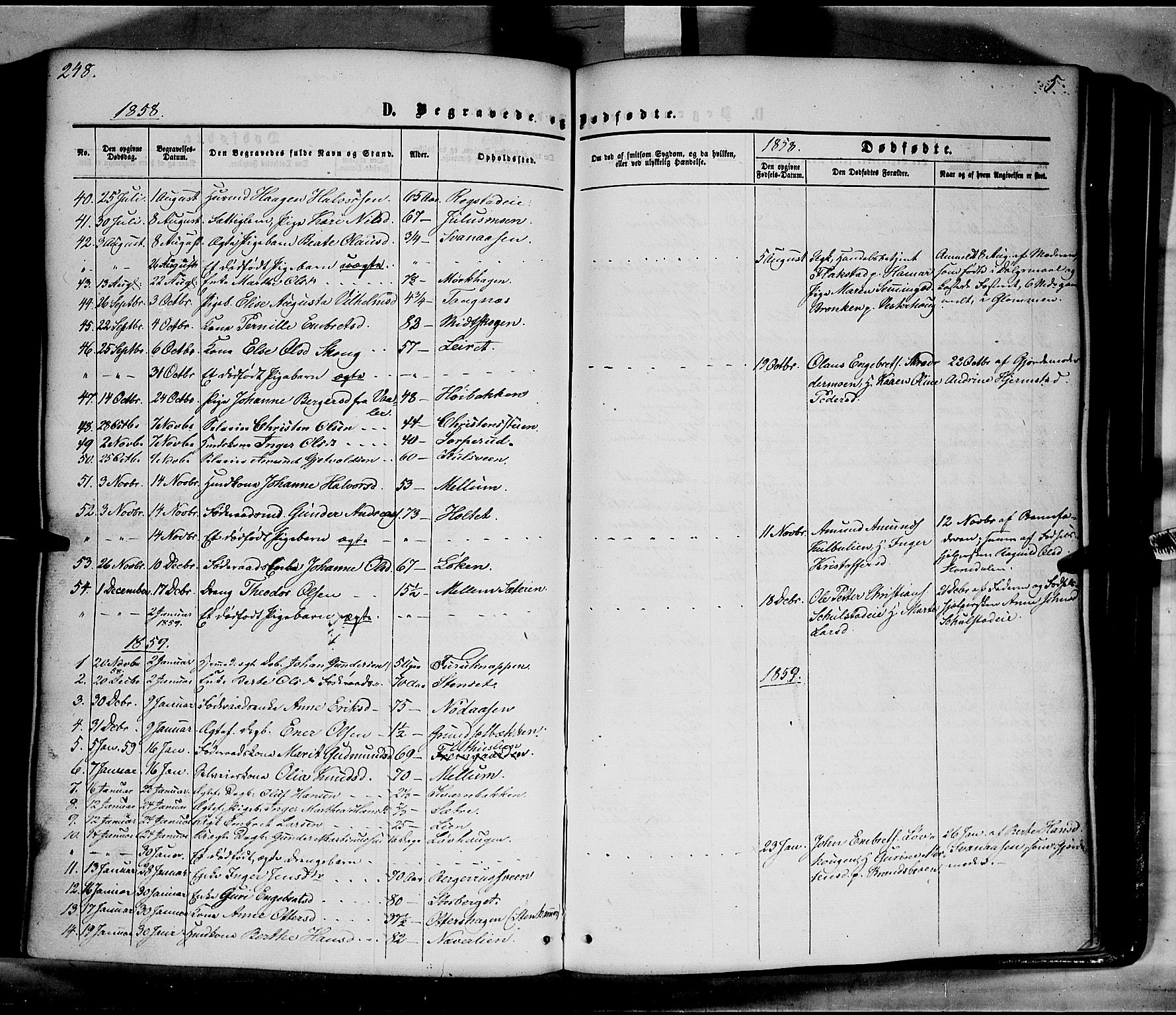 Elverum prestekontor, SAH/PREST-044/H/Ha/Haa/L0010: Parish register (official) no. 10, 1857-1868, p. 248