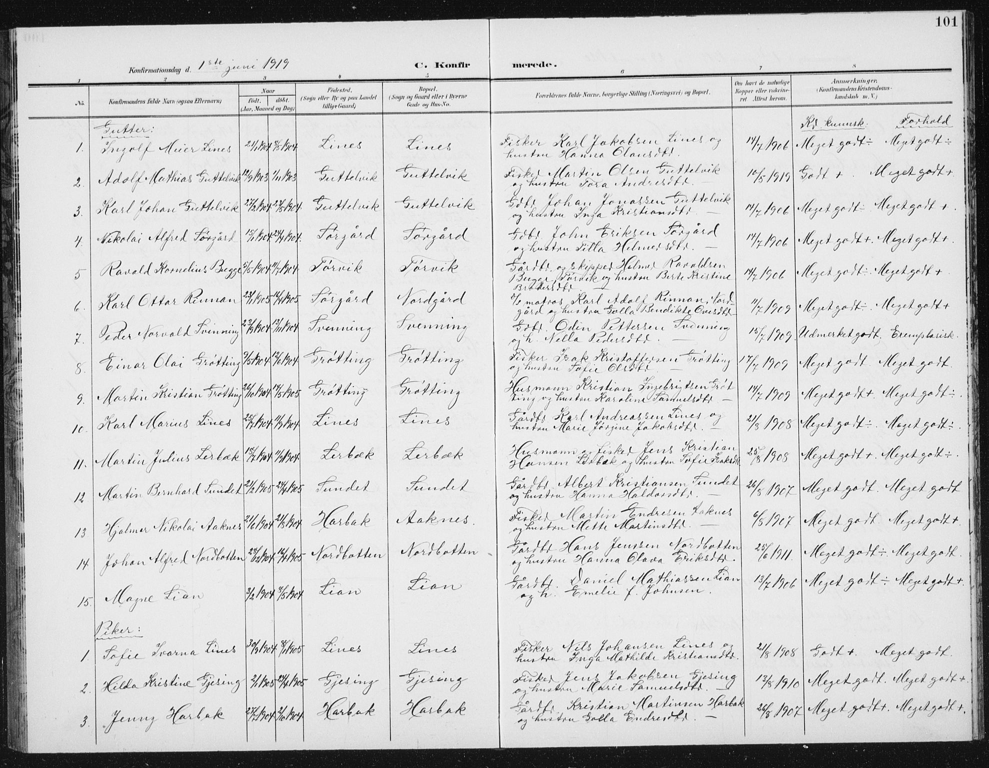 Ministerialprotokoller, klokkerbøker og fødselsregistre - Sør-Trøndelag, SAT/A-1456/656/L0699: Parish register (copy) no. 656C05, 1905-1920, p. 101