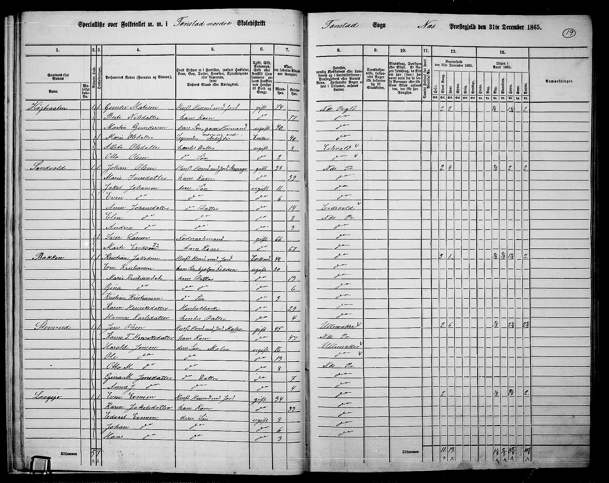 RA, 1865 census for Nes, 1865, p. 18