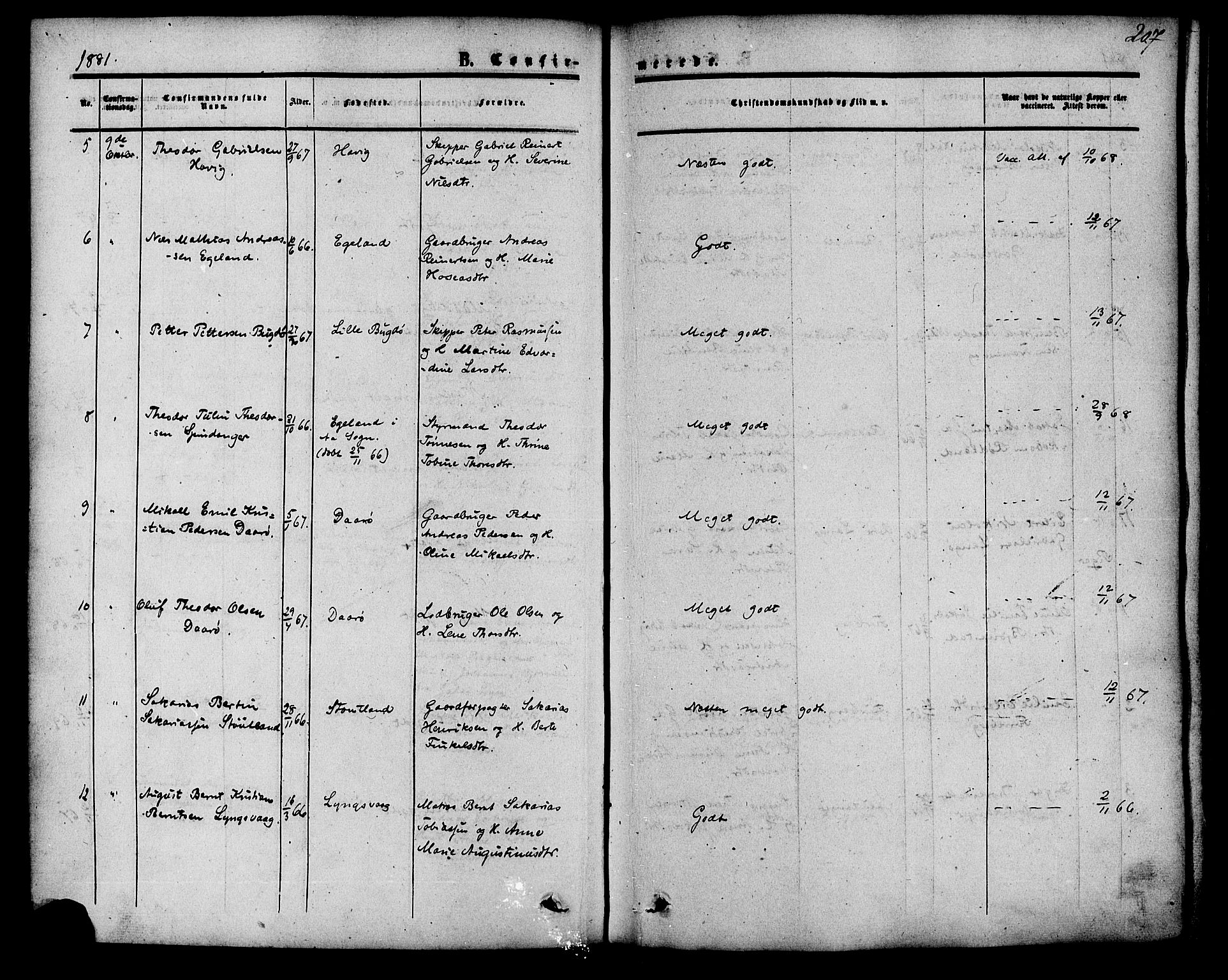 Herad sokneprestkontor, AV/SAK-1111-0018/F/Fa/Fab/L0004: Parish register (official) no. A 4, 1853-1885, p. 207