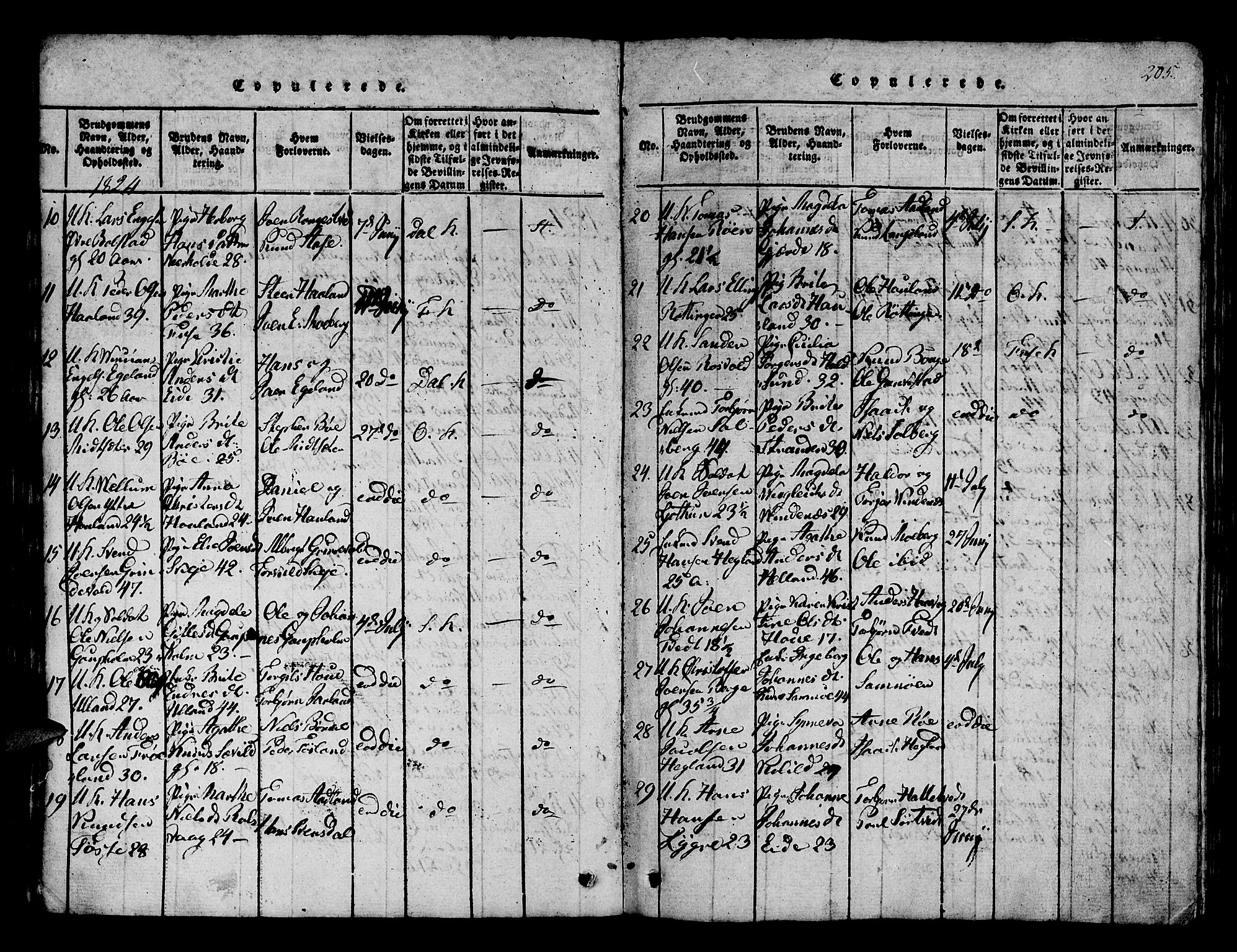 Os sokneprestembete, AV/SAB-A-99929: Parish register (official) no. A 12, 1816-1825, p. 205