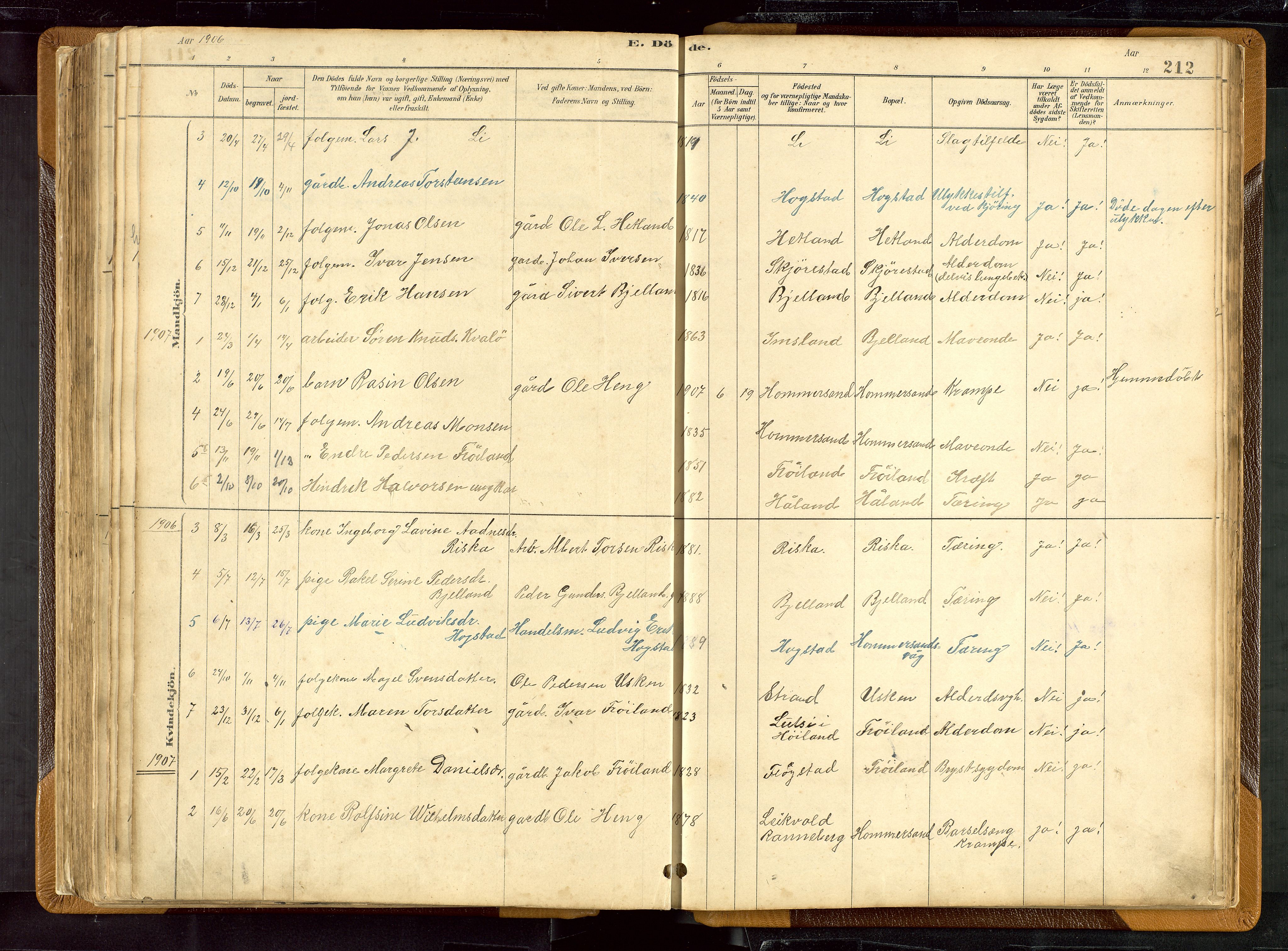 Hetland sokneprestkontor, SAST/A-101826/30/30BB/L0007: Parish register (copy) no. B 7, 1878-1910, p. 212