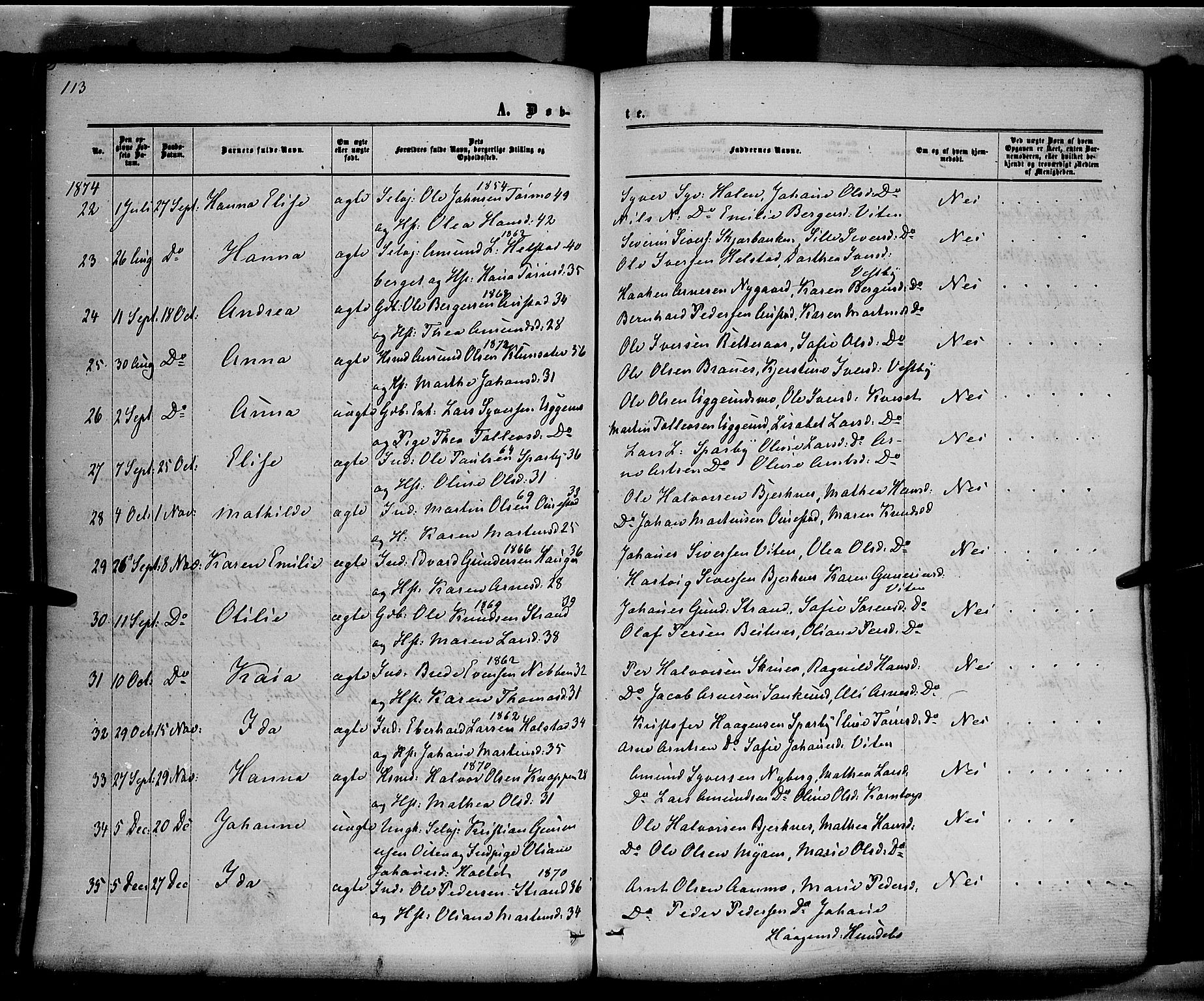 Hof prestekontor, SAH/PREST-038/H/Ha/Haa/L0009: Parish register (official) no. 9, 1862-1877, p. 113