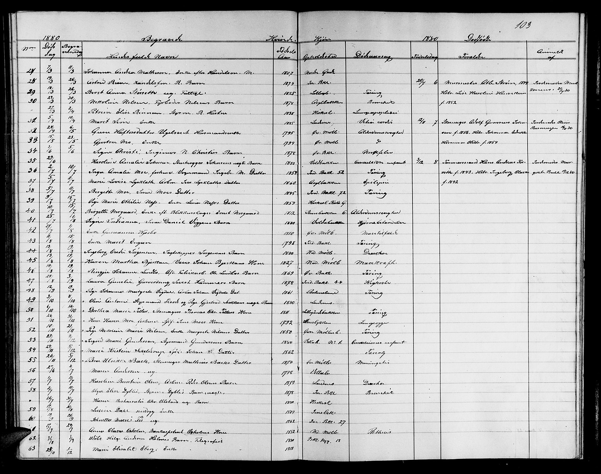 Ministerialprotokoller, klokkerbøker og fødselsregistre - Sør-Trøndelag, SAT/A-1456/604/L0221: Parish register (copy) no. 604C04, 1870-1885, p. 103