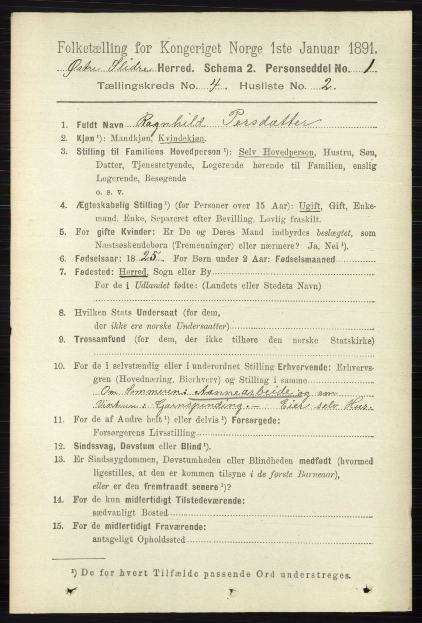 RA, 1891 census for 0544 Øystre Slidre, 1891, p. 1207