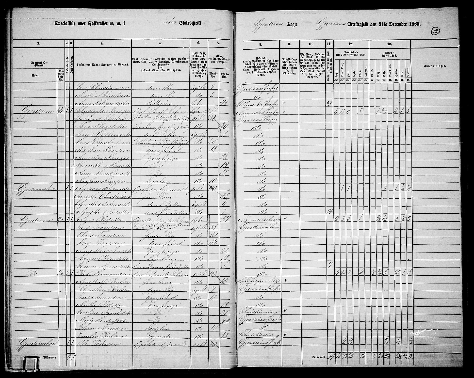 RA, 1865 census for Gjerdrum, 1865, p. 14