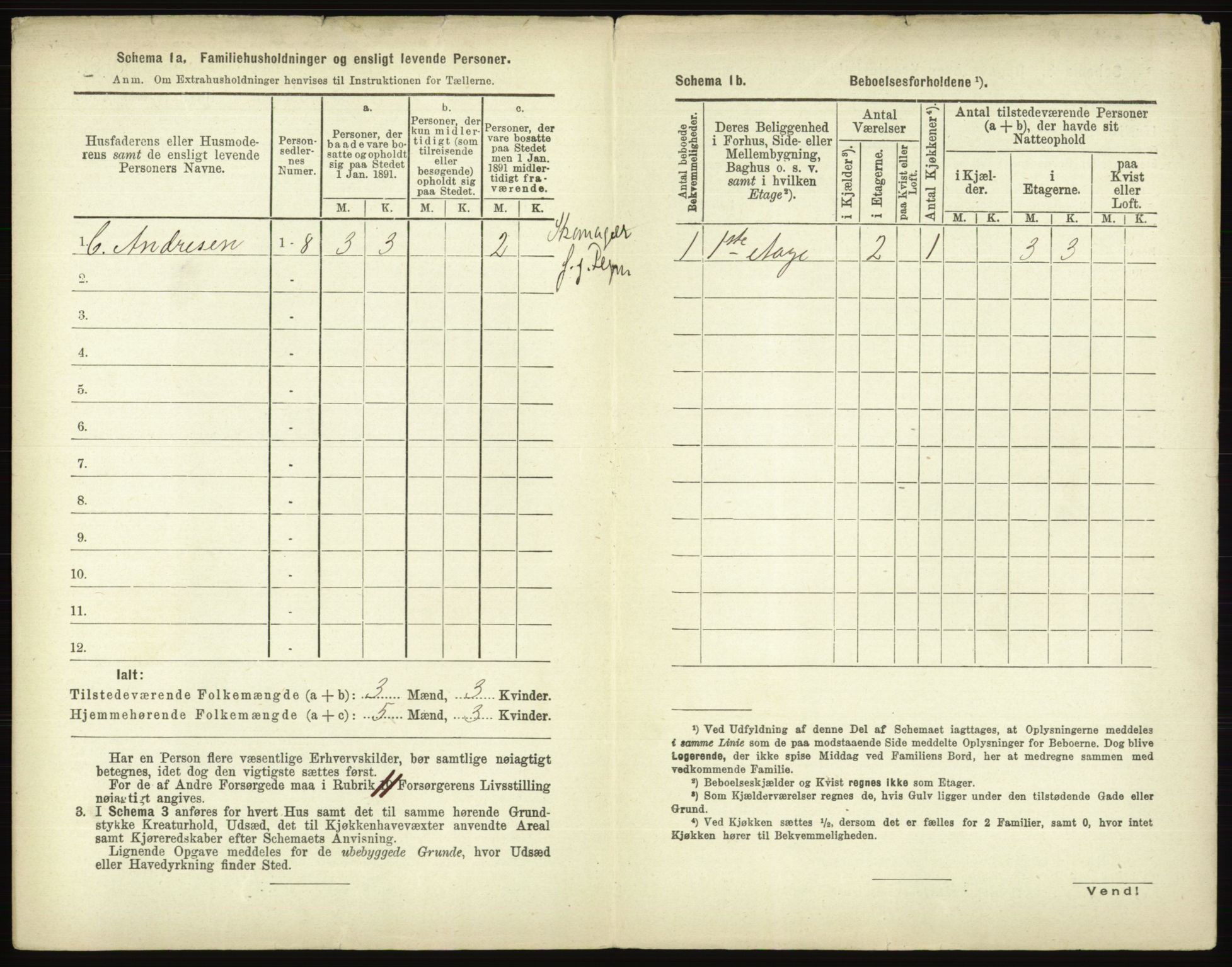 RA, 1891 census for 0203 Drøbak, 1891, p. 596