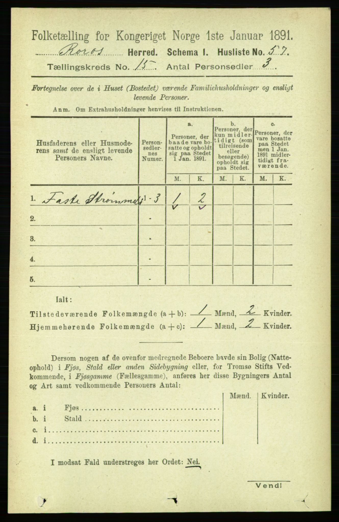 RA, 1891 census for 1640 Røros, 1891, p. 3319