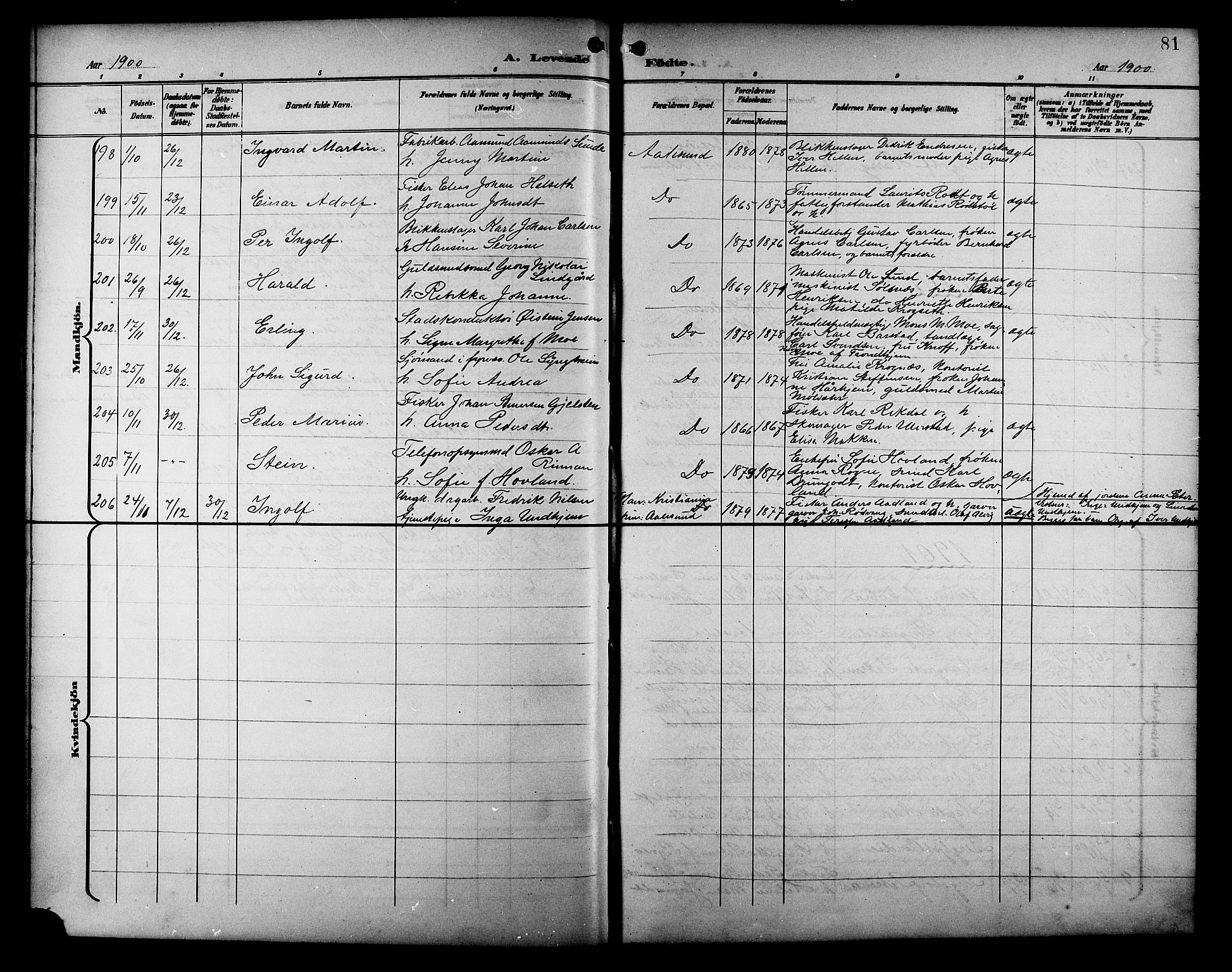 Ministerialprotokoller, klokkerbøker og fødselsregistre - Møre og Romsdal, AV/SAT-A-1454/529/L0468: Parish register (copy) no. 529C05, 1897-1908, p. 81