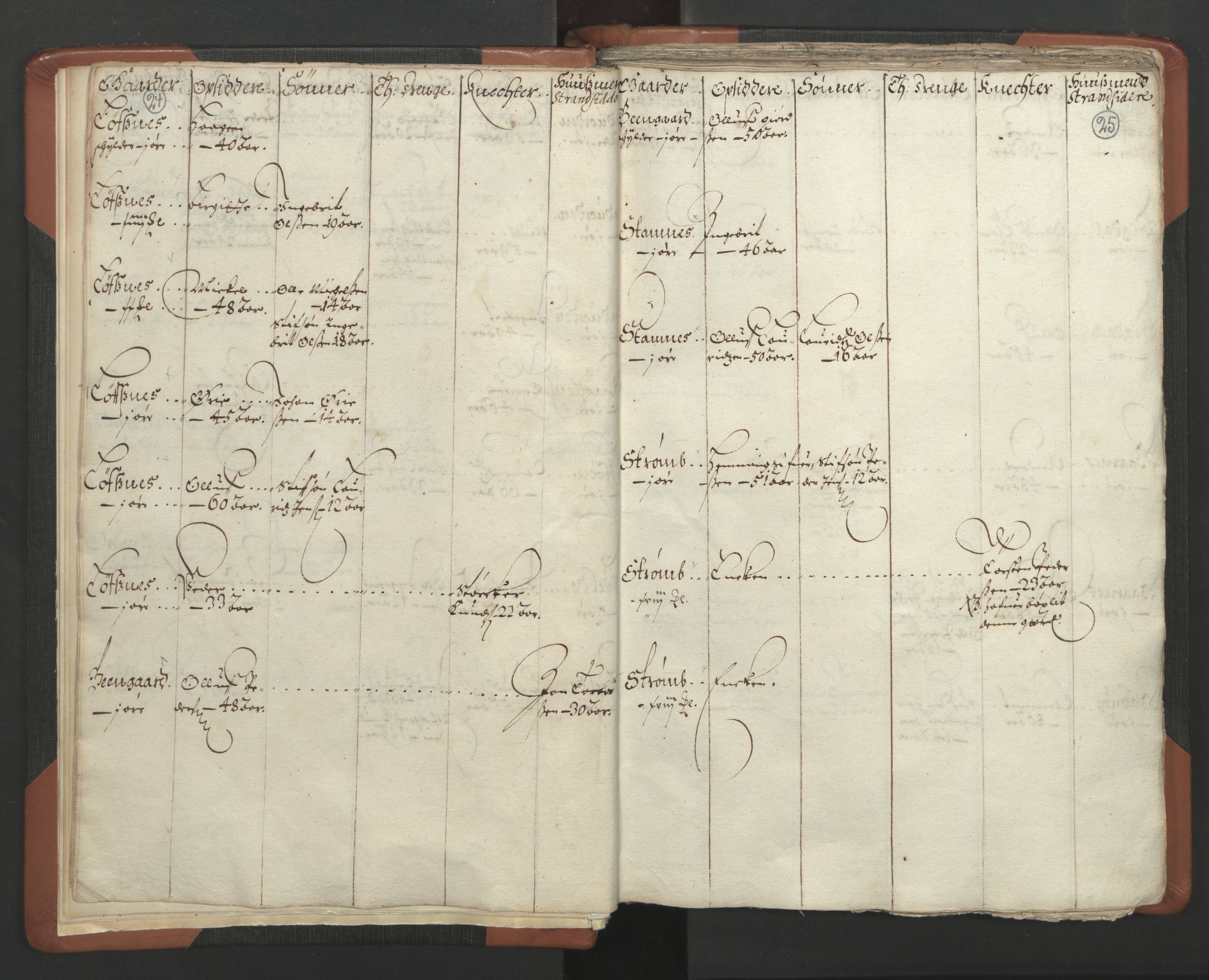 RA, Vicar's Census 1664-1666, no. 34: Namdal deanery, 1664-1666, p. 24-25