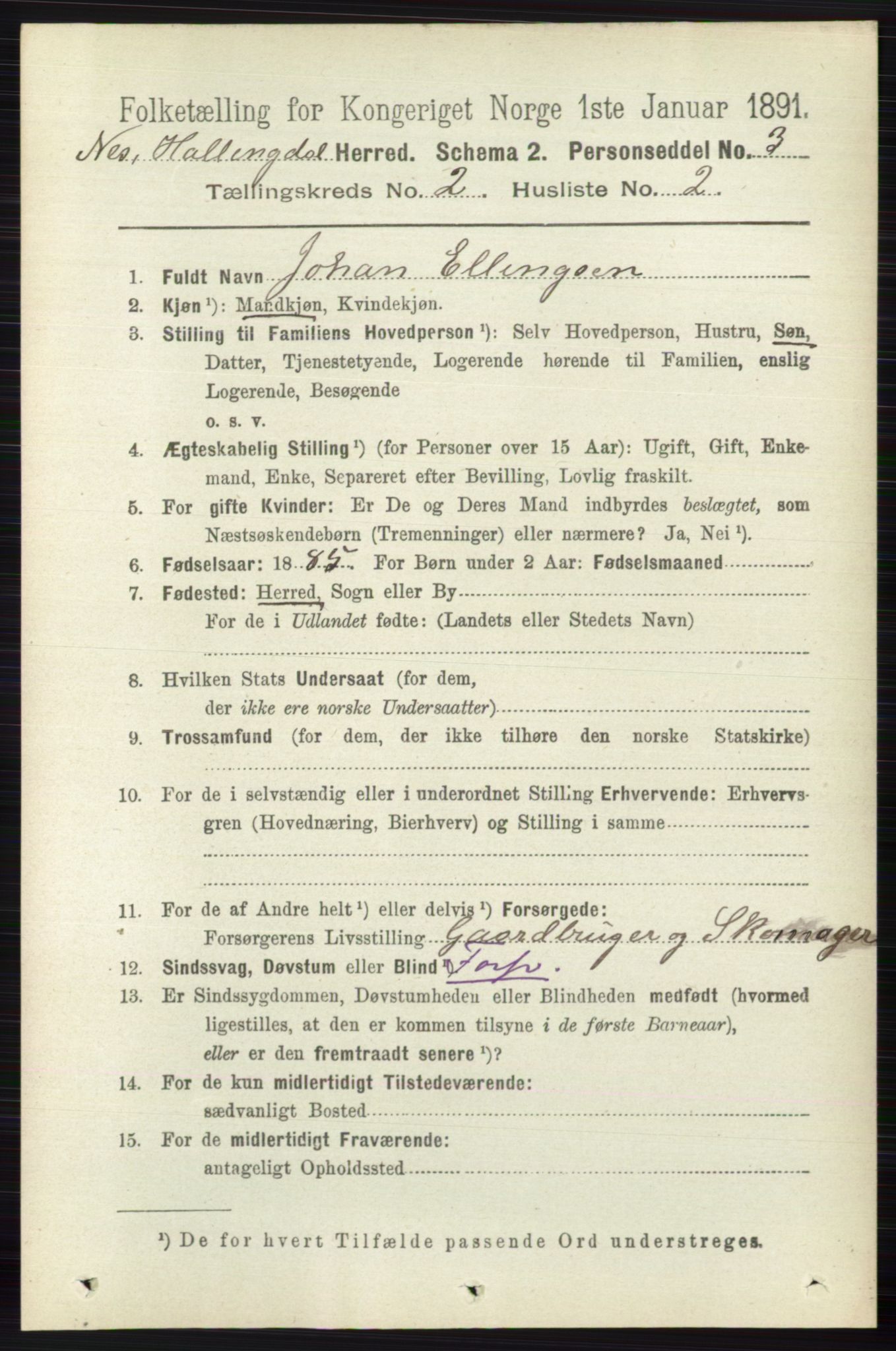 RA, 1891 census for 0616 Nes, 1891, p. 999