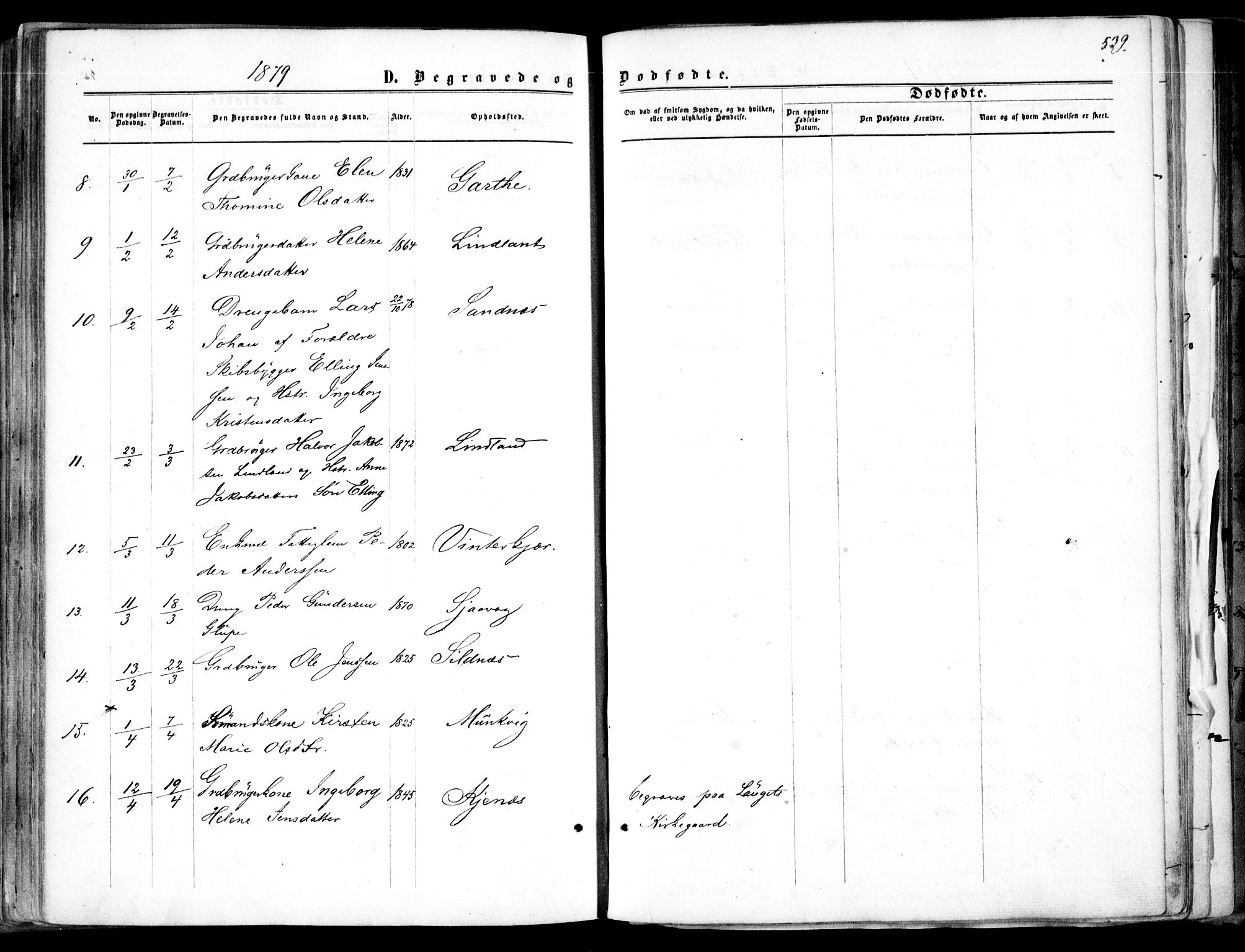 Søndeled sokneprestkontor, SAK/1111-0038/F/Fa/L0003: Parish register (official) no. A 3, 1861-1879, p. 539
