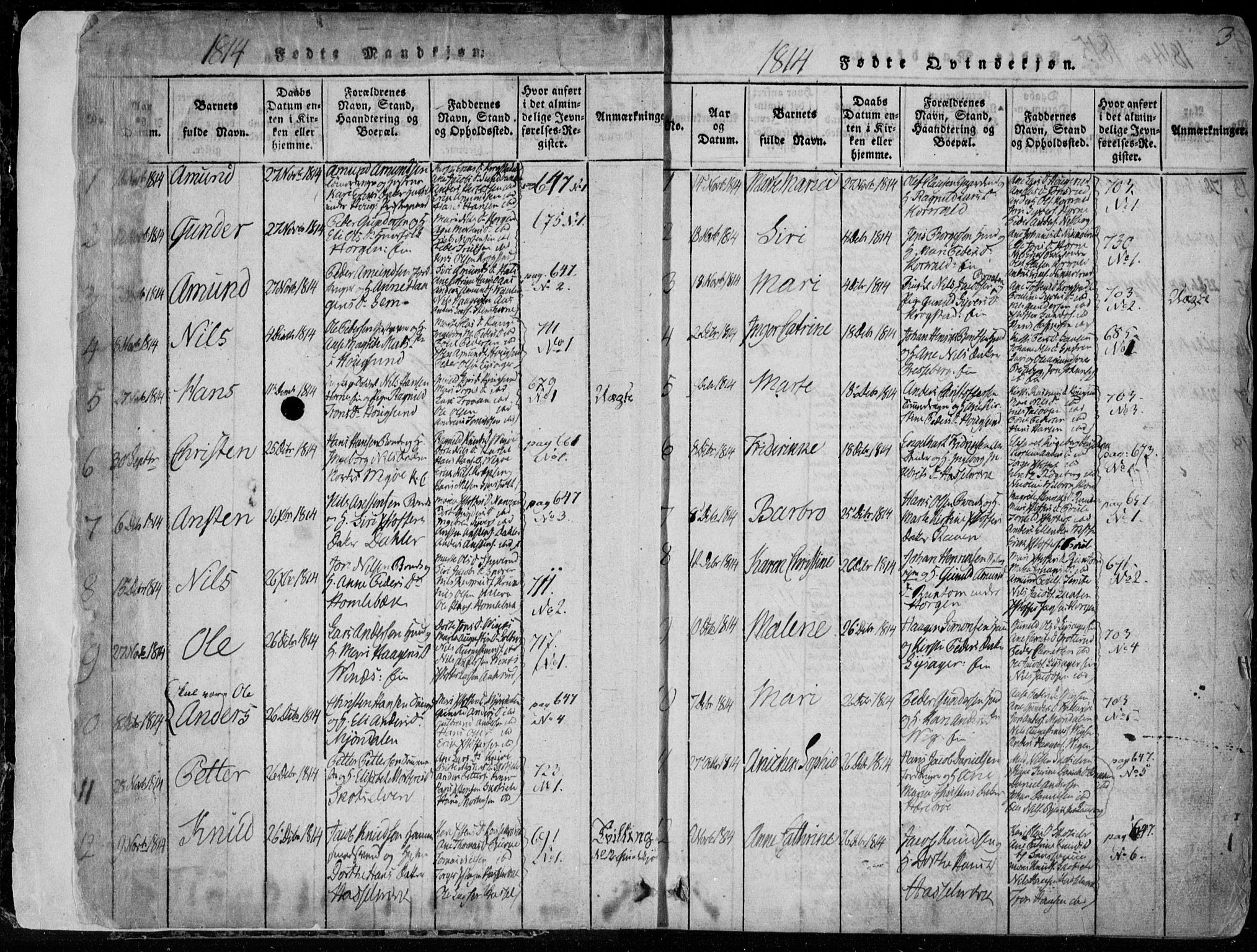 Eiker kirkebøker, SAKO/A-4/F/Fa/L0011: Parish register (official) no. I 11, 1814-1827, p. 2-3