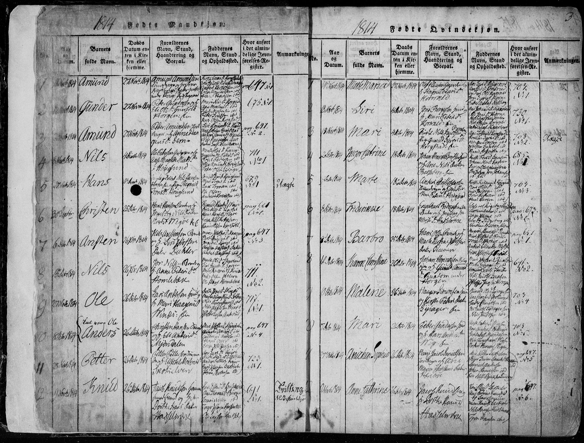 Eiker kirkebøker, AV/SAKO-A-4/F/Fa/L0011: Parish register (official) no. I 11, 1814-1827, p. 2-3