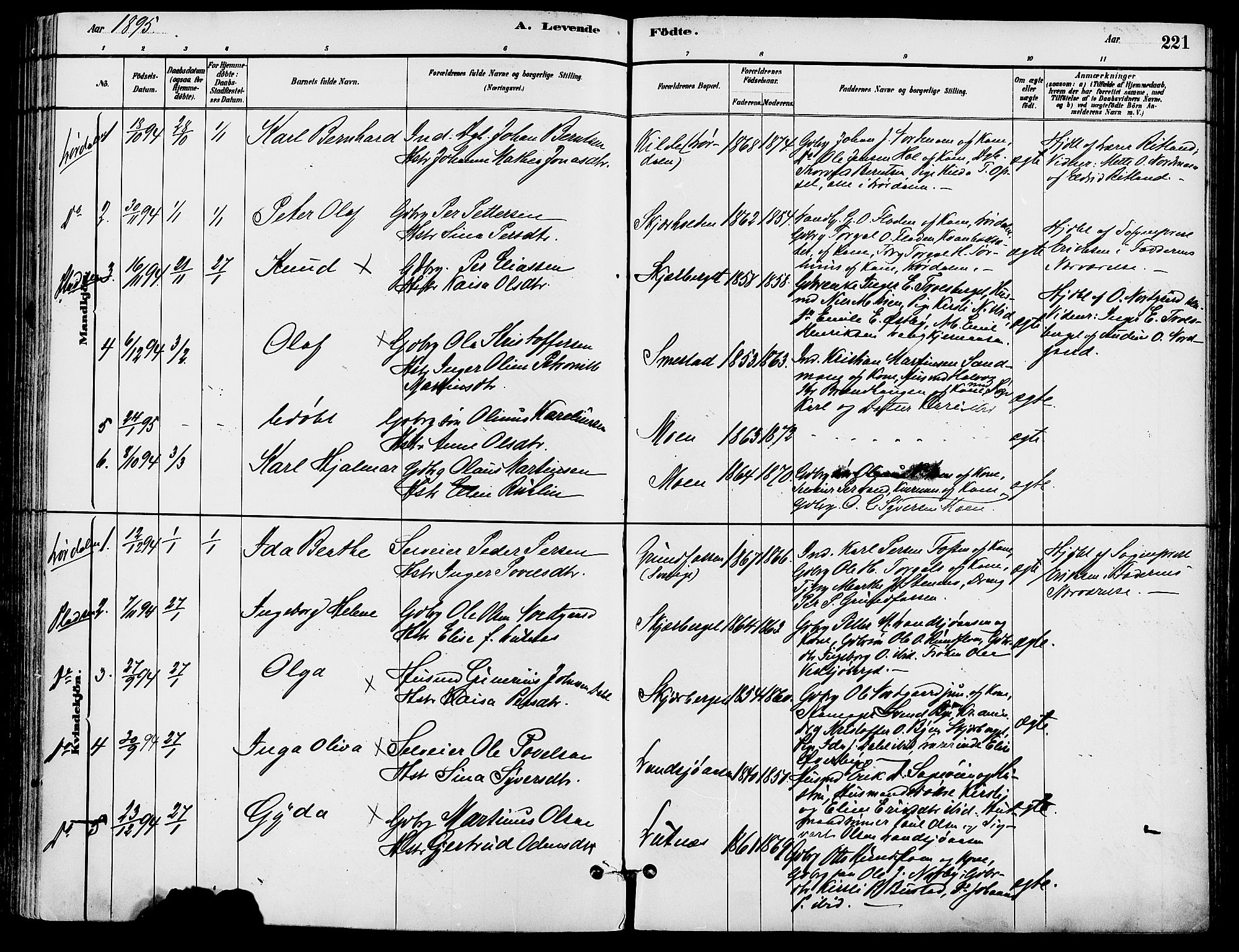 Trysil prestekontor, SAH/PREST-046/H/Ha/Haa/L0008: Parish register (official) no. 8, 1881-1897, p. 221