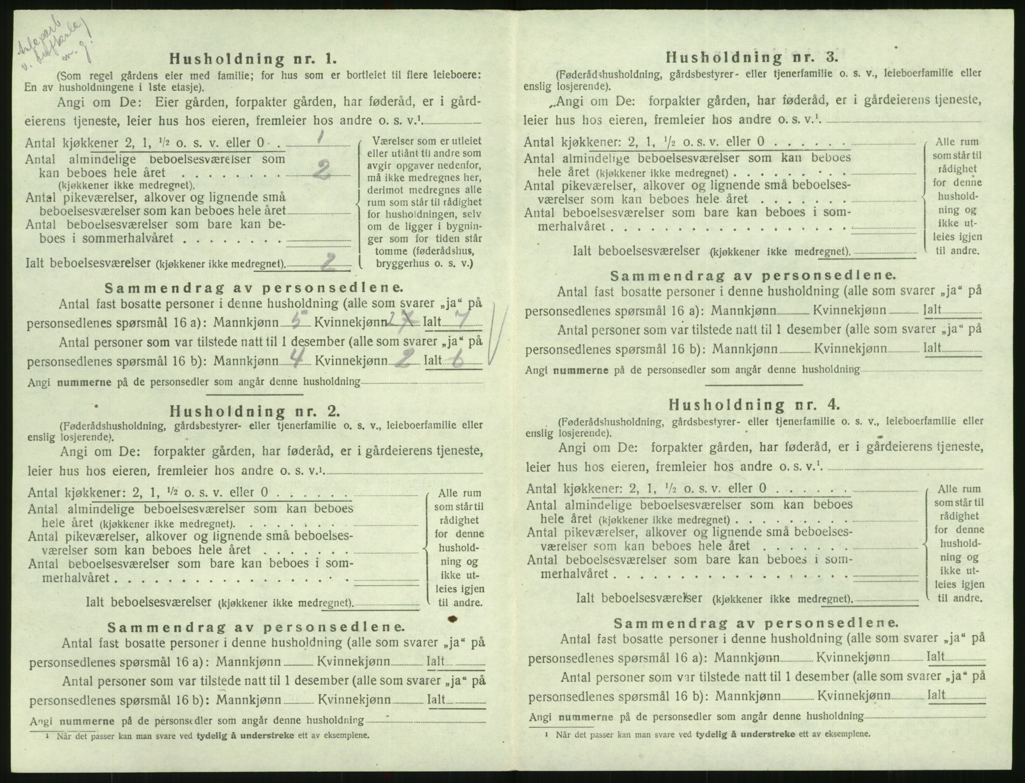 SAK, 1920 census for Hornnes, 1920, p. 424