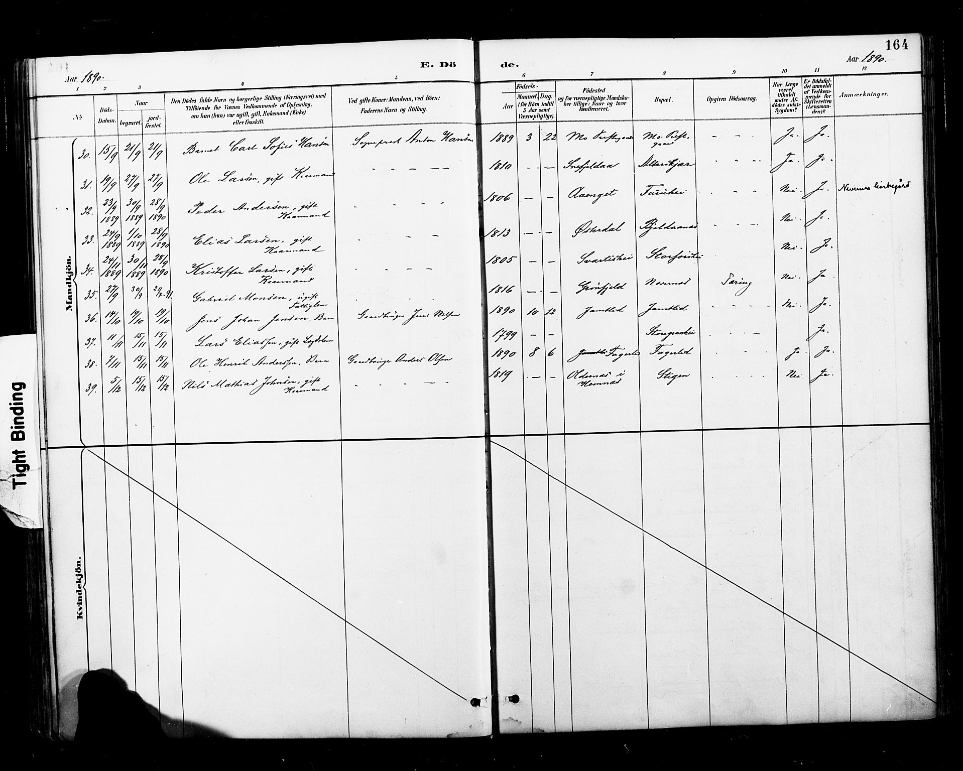 Ministerialprotokoller, klokkerbøker og fødselsregistre - Nordland, AV/SAT-A-1459/827/L0401: Parish register (official) no. 827A13, 1887-1905, p. 164