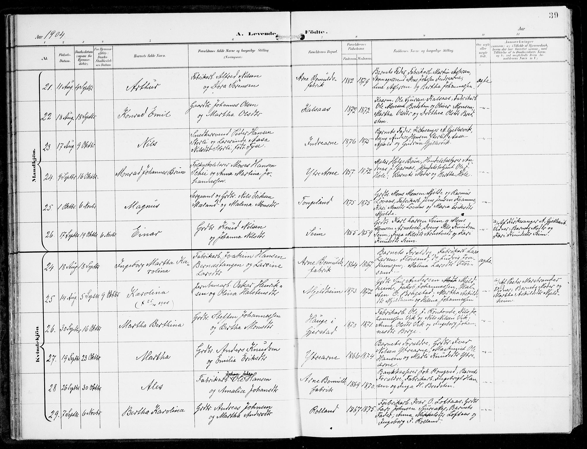 Haus sokneprestembete, AV/SAB-A-75601/H/Haa: Parish register (official) no. D 2, 1899-1912, p. 39