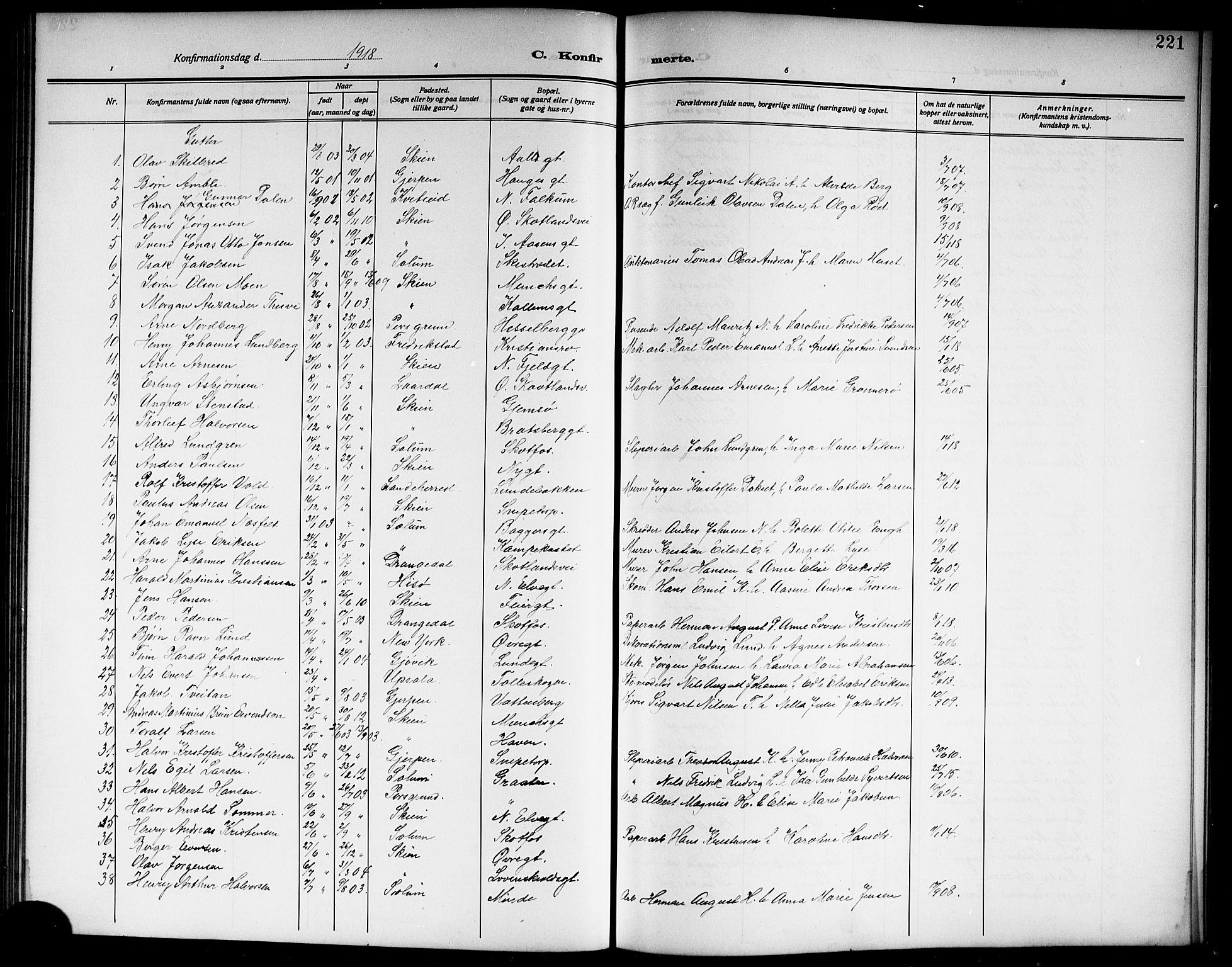 Skien kirkebøker, SAKO/A-302/G/Ga/L0009: Parish register (copy) no. 9, 1910-1920, p. 221