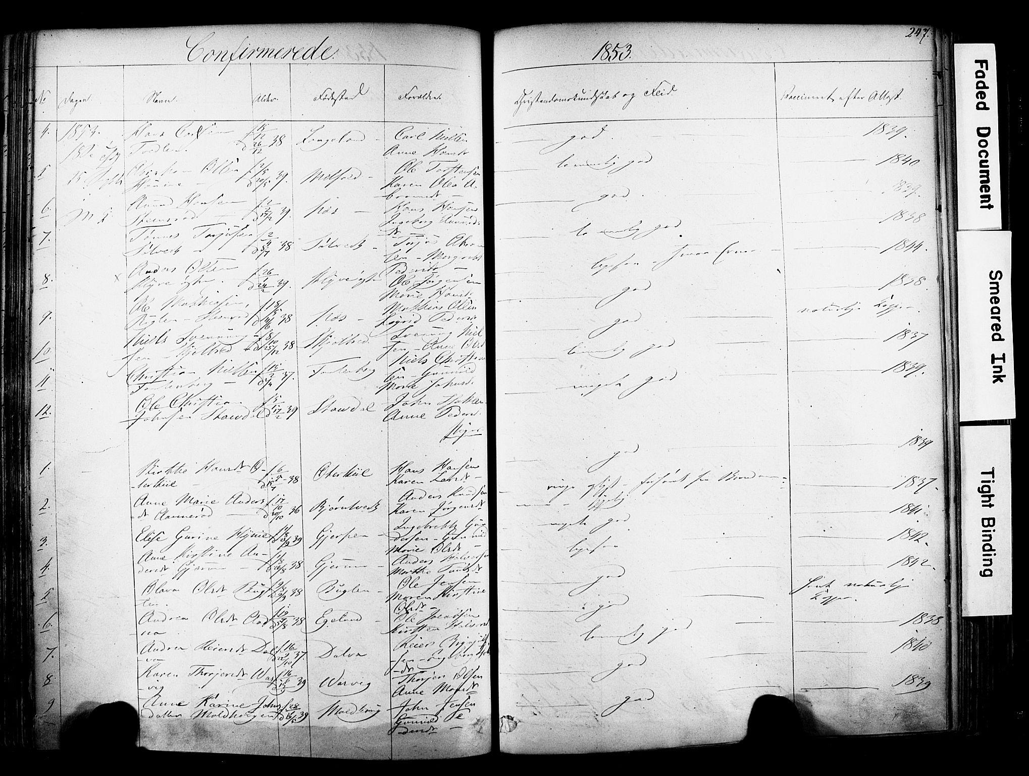 Solum kirkebøker, SAKO/A-306/F/Fa/L0006: Parish register (official) no. I 6, 1844-1855, p. 247