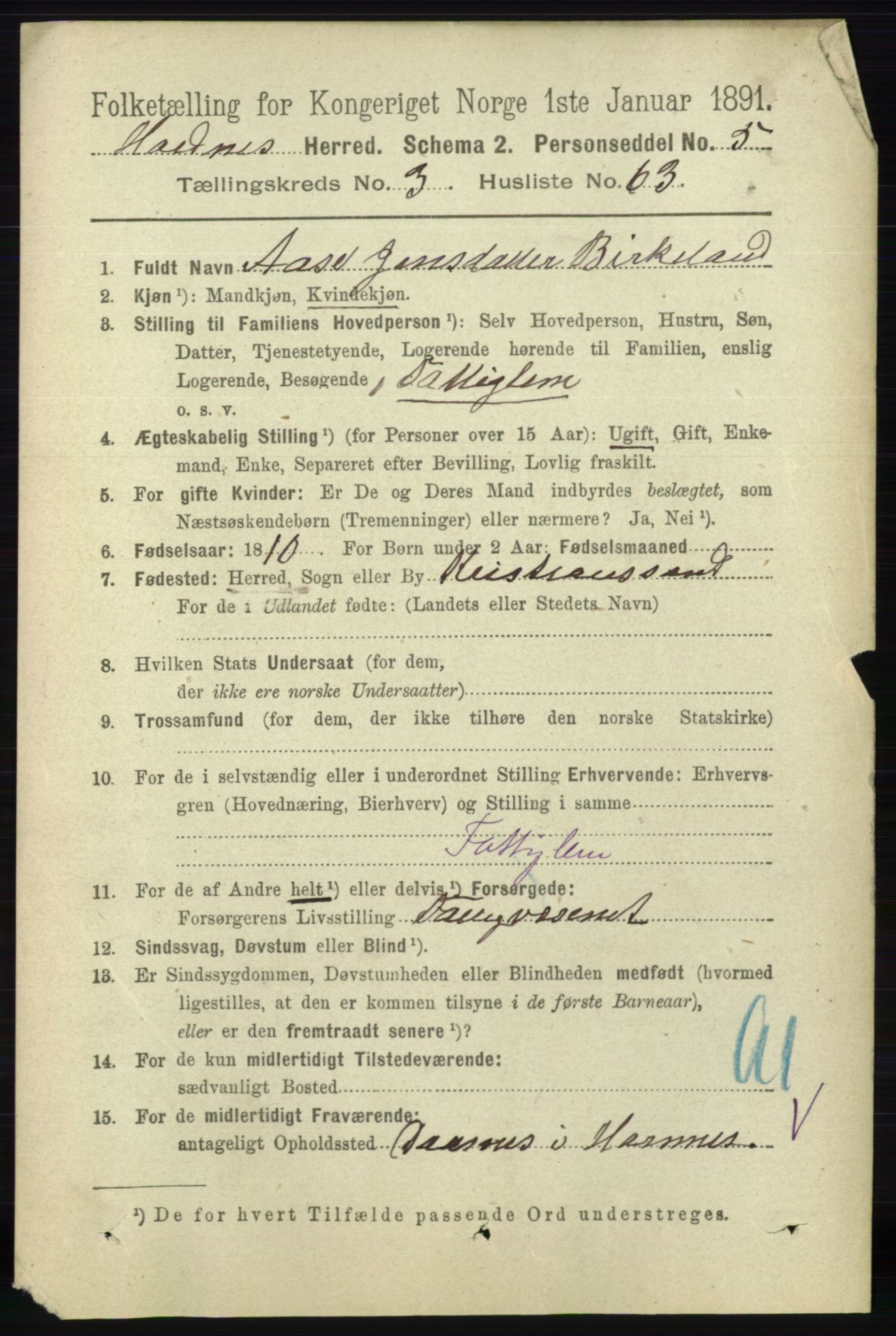 RA, 1891 census for 0936 Hornnes, 1891, p. 1006