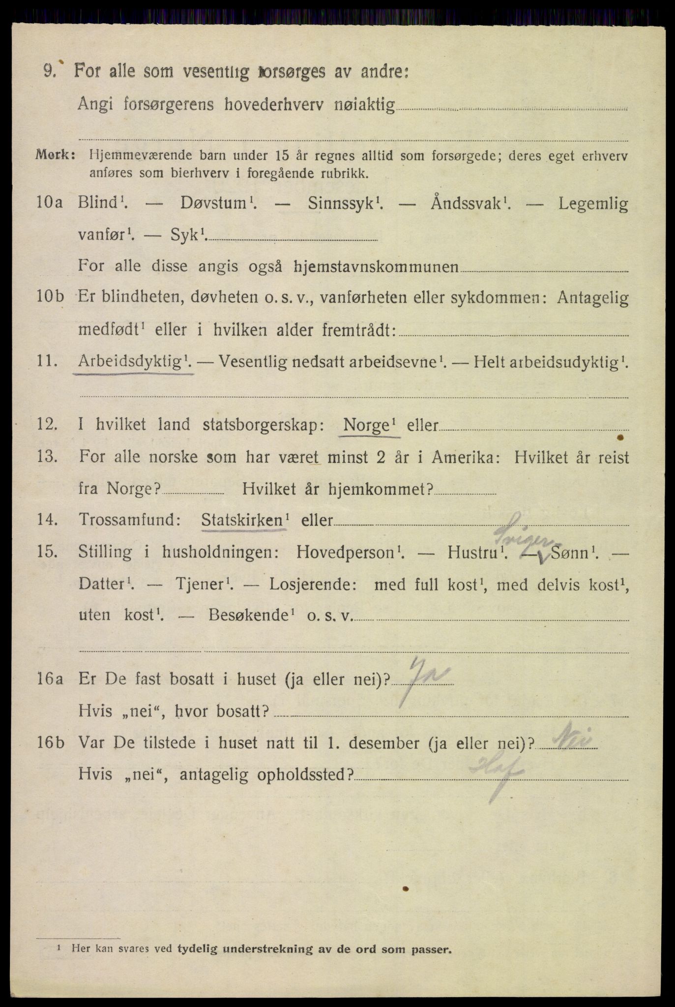 SAH, 1920 census for Åsnes, 1920, p. 11451