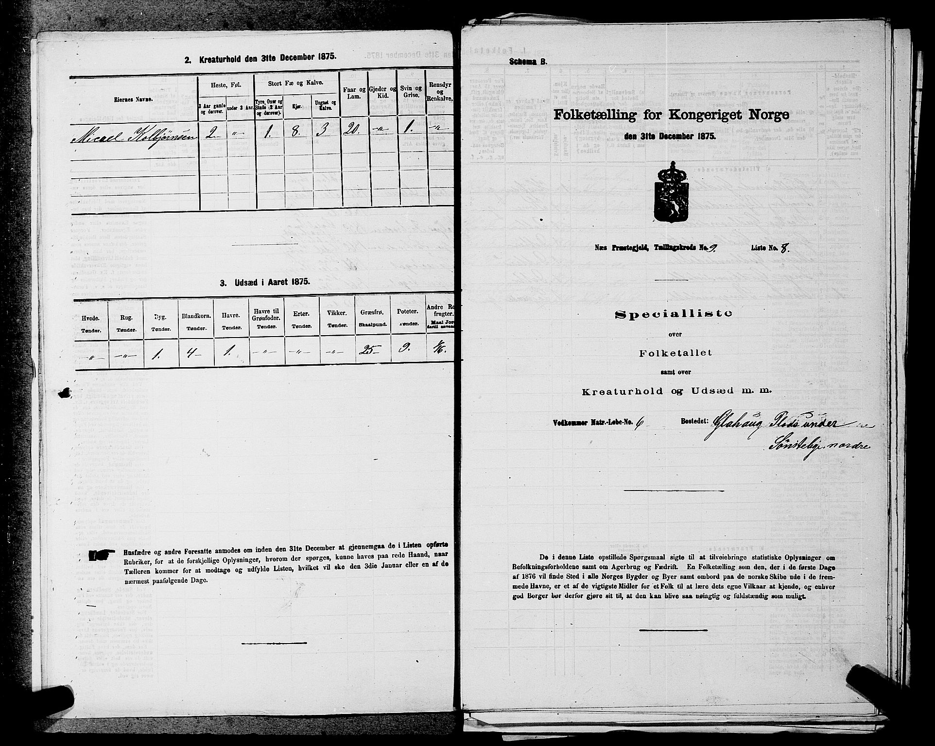 SAKO, 1875 census for 0616P Nes, 1875, p. 1420