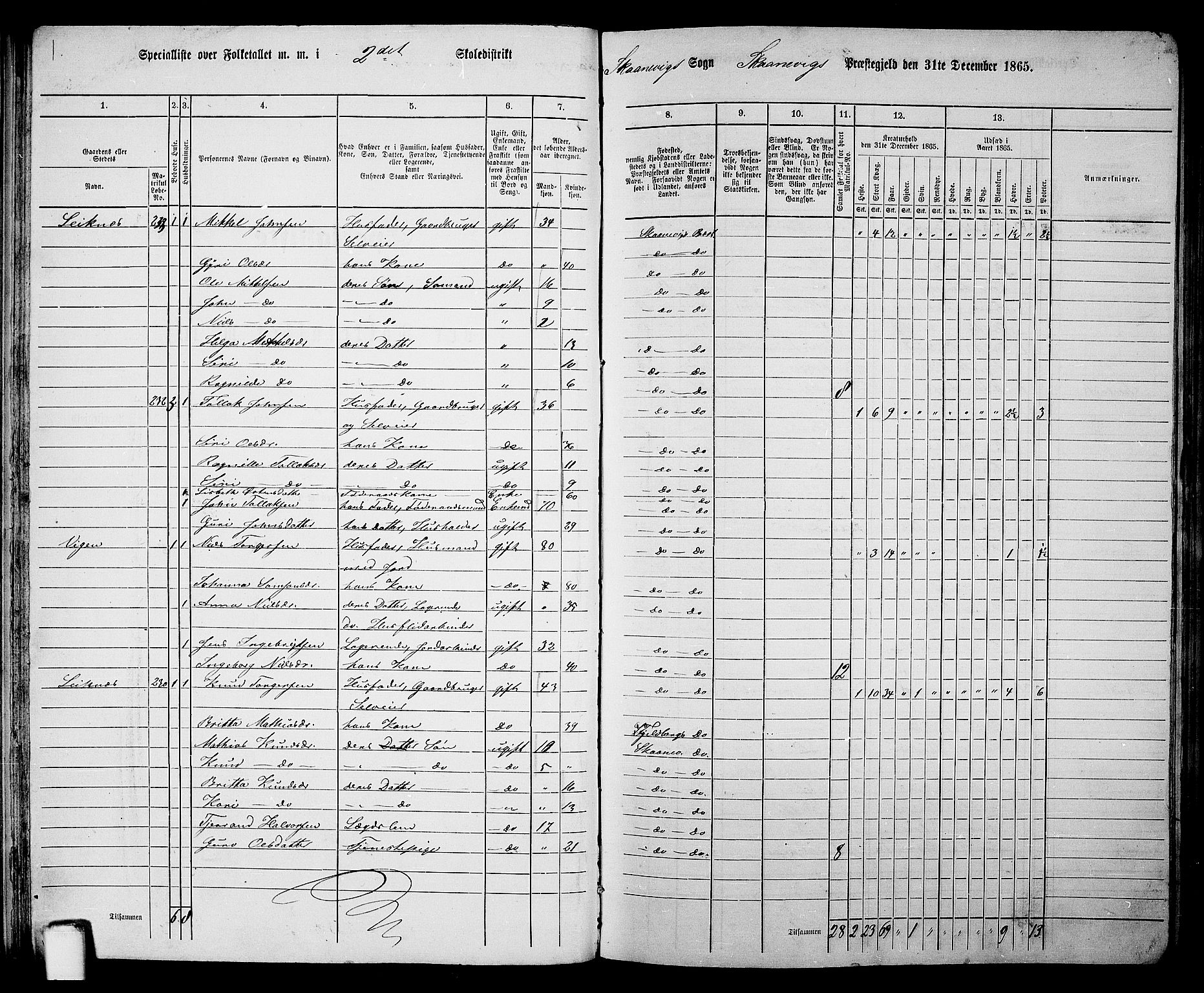 RA, 1865 census for Skånevik, 1865, p. 29