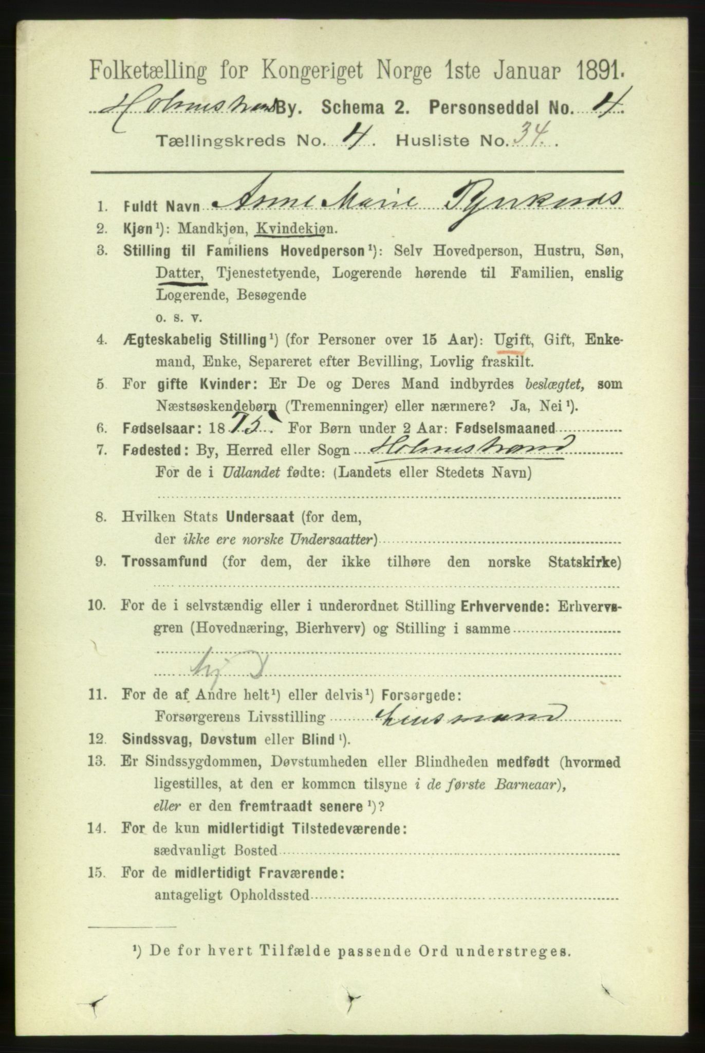 RA, 1891 census for 0702 Holmestrand, 1891, p. 2638