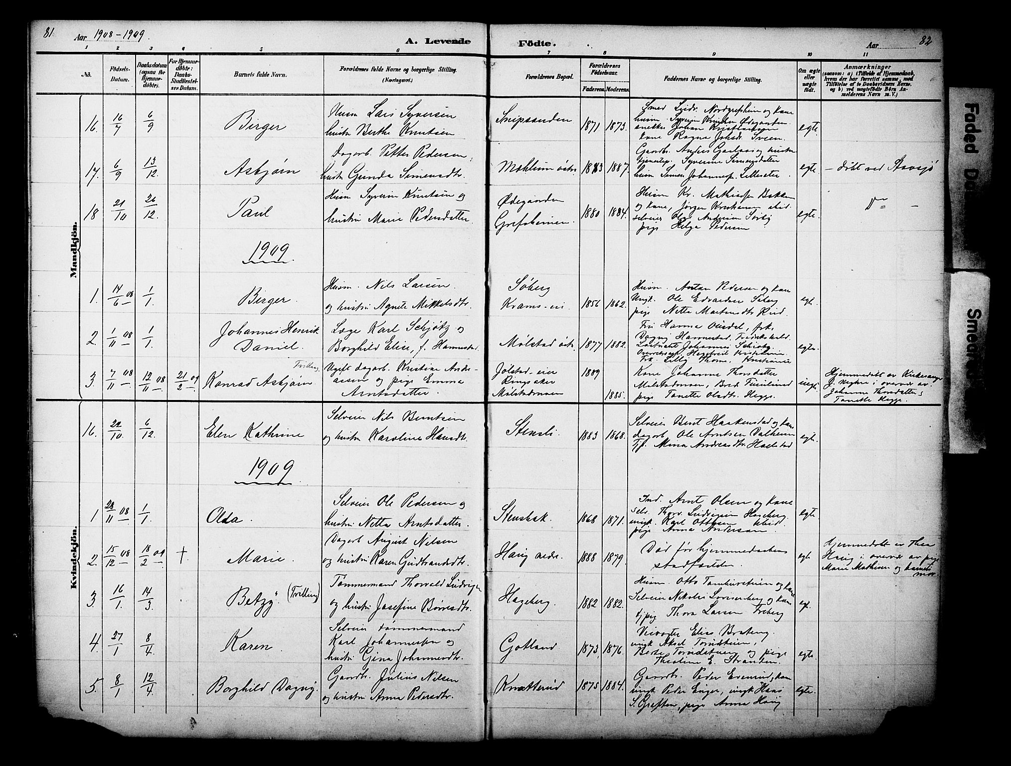 Nes prestekontor, Hedmark, SAH/PREST-020/L/La/L0006: Parish register (copy) no. 6, 1890-1932, p. 81-82