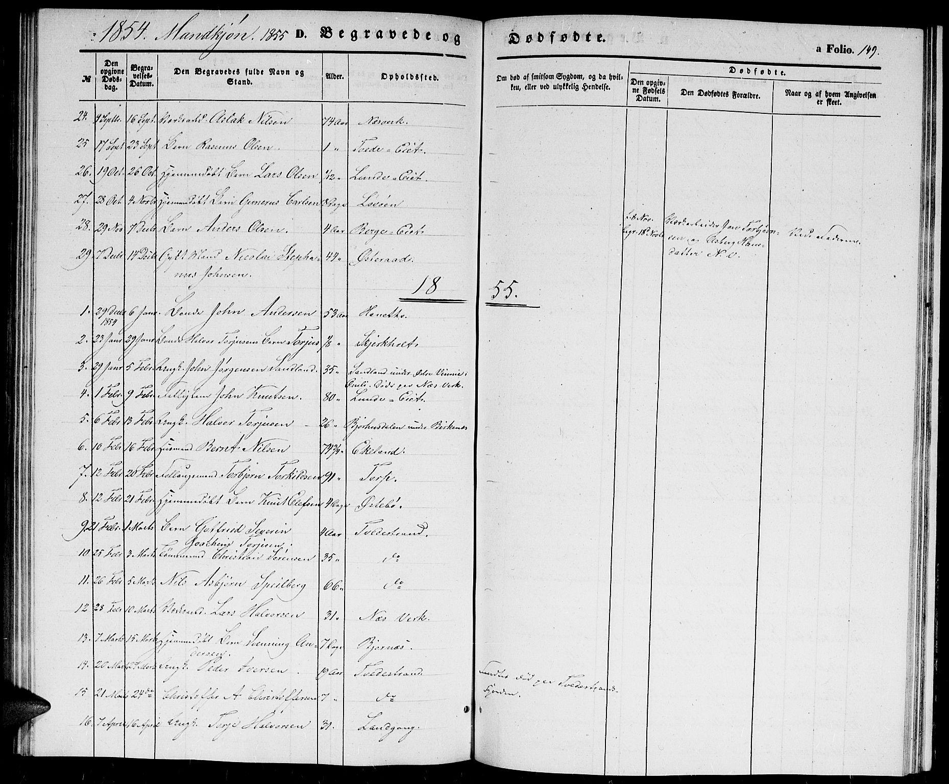 Holt sokneprestkontor, AV/SAK-1111-0021/F/Fb/L0007: Parish register (copy) no. B 7, 1849-1858, p. 149