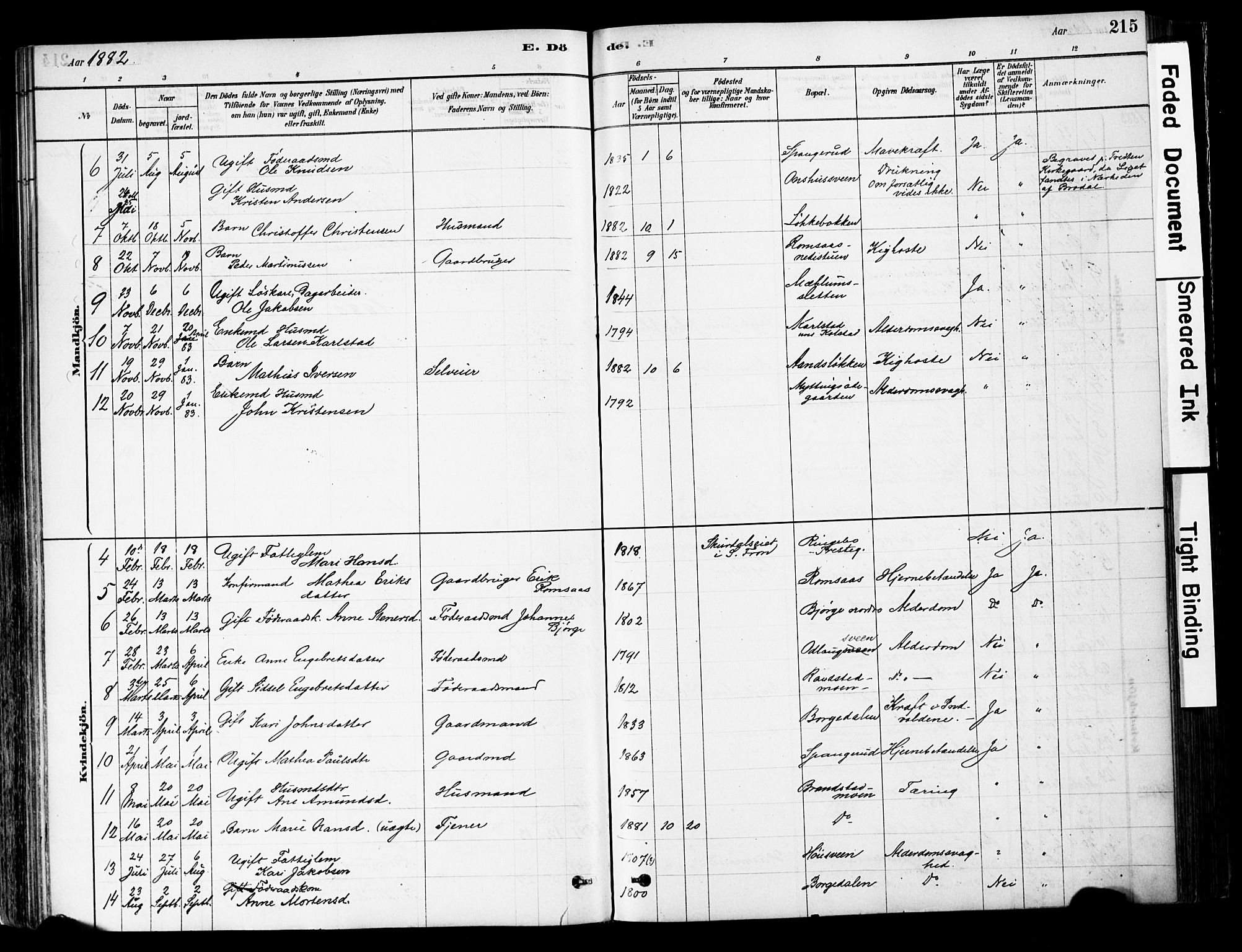 Ringebu prestekontor, AV/SAH-PREST-082/H/Ha/Haa/L0008: Parish register (official) no. 8, 1878-1898, p. 215