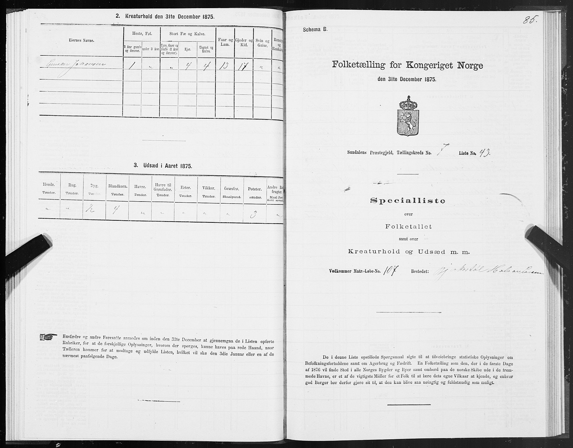 SAT, 1875 census for 1563P Sunndal, 1875, p. 3085