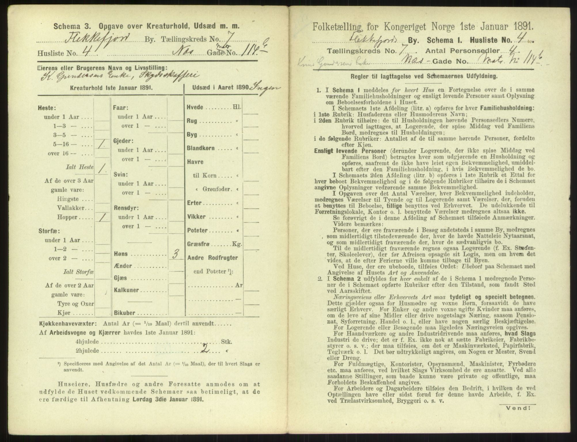 RA, 1891 census for 1004 Flekkefjord, 1891, p. 260