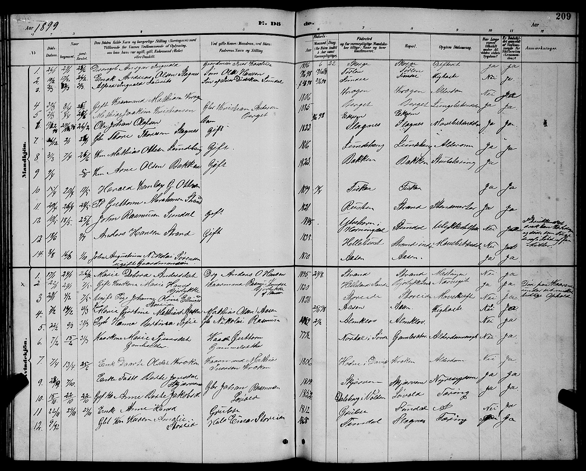 Ministerialprotokoller, klokkerbøker og fødselsregistre - Møre og Romsdal, AV/SAT-A-1454/501/L0017: Parish register (copy) no. 501C03, 1885-1901, p. 209