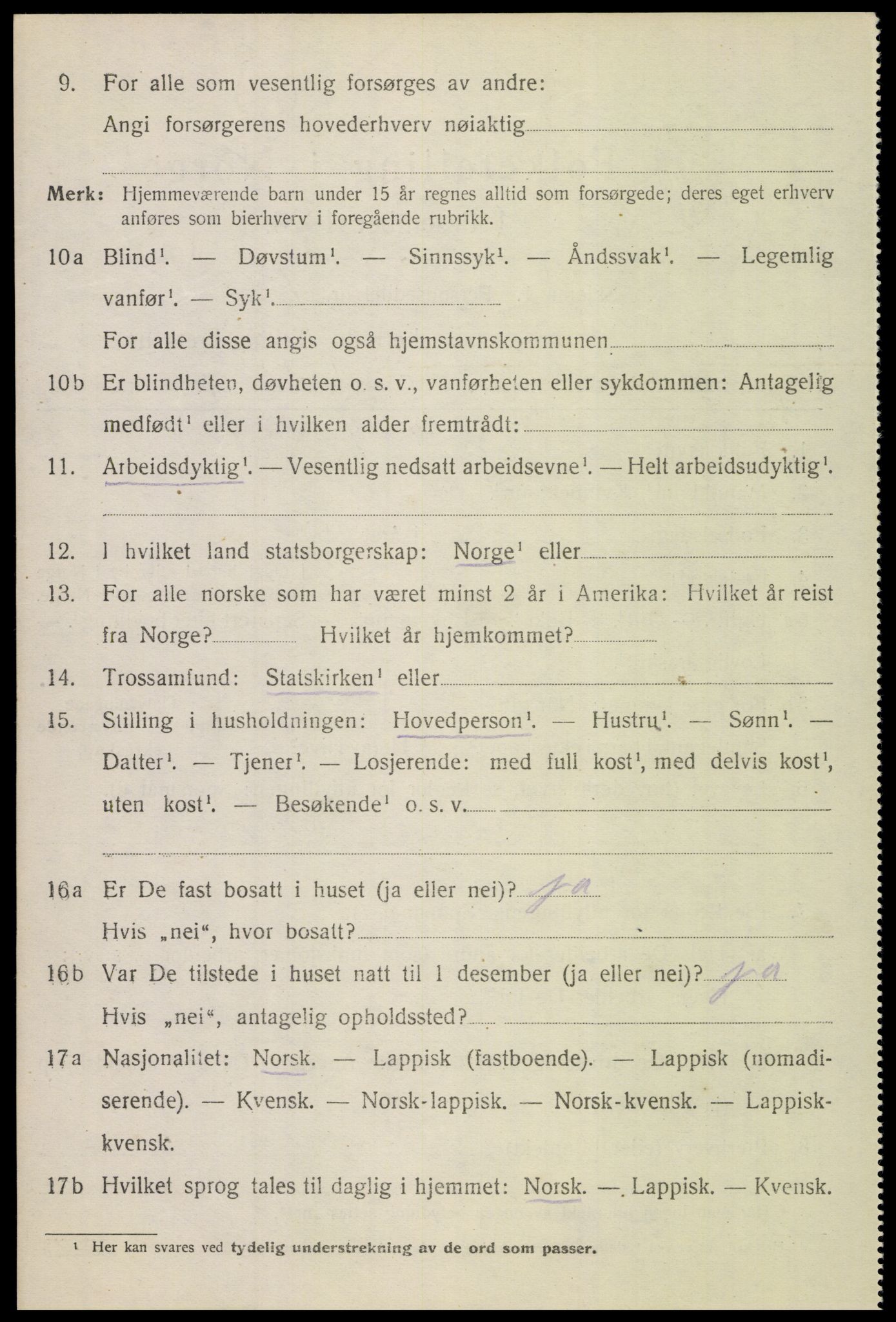 SAT, 1920 census for Bodin, 1920, p. 3275