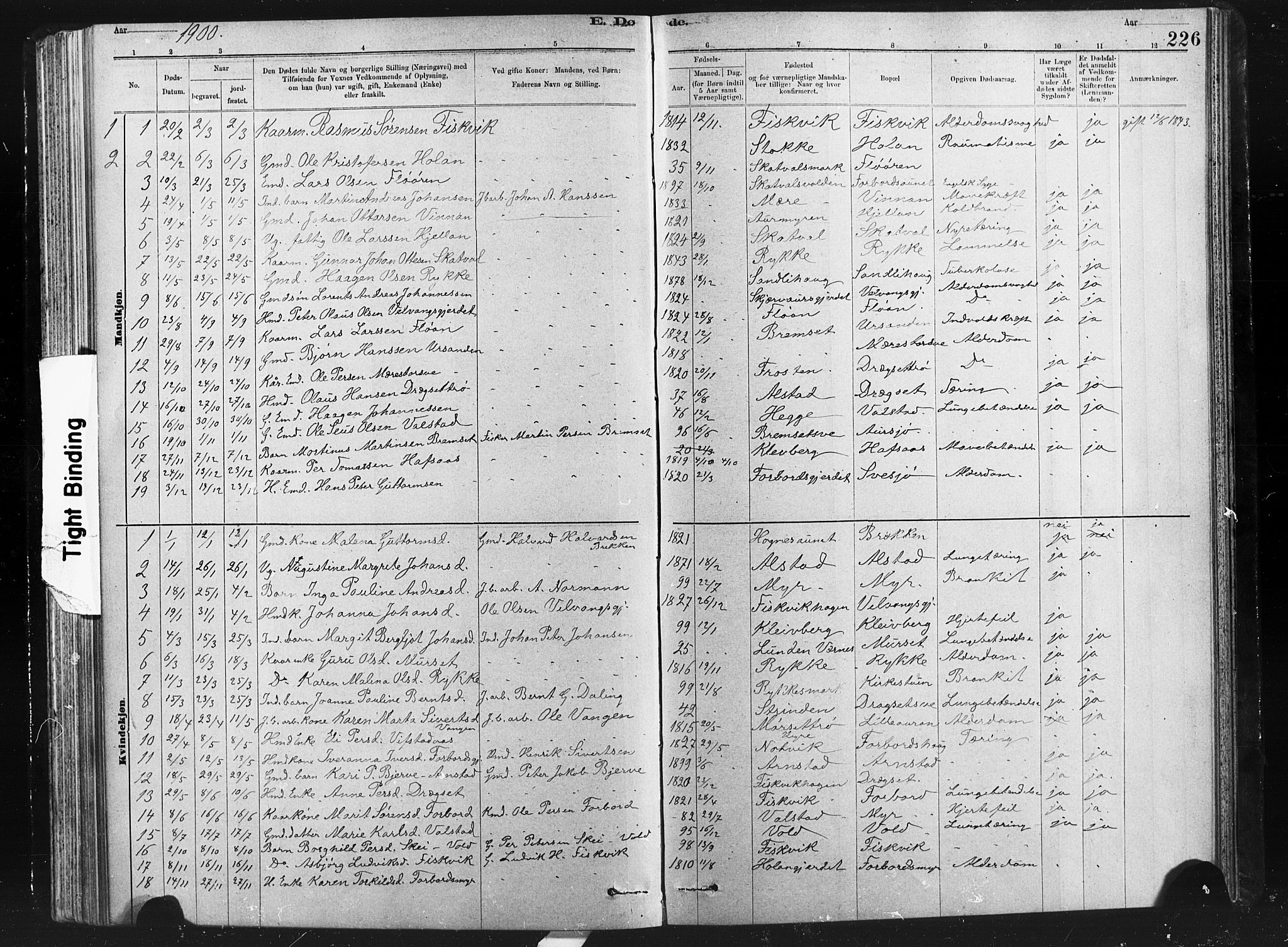 Ministerialprotokoller, klokkerbøker og fødselsregistre - Nord-Trøndelag, SAT/A-1458/712/L0103: Parish register (copy) no. 712C01, 1878-1917, p. 226