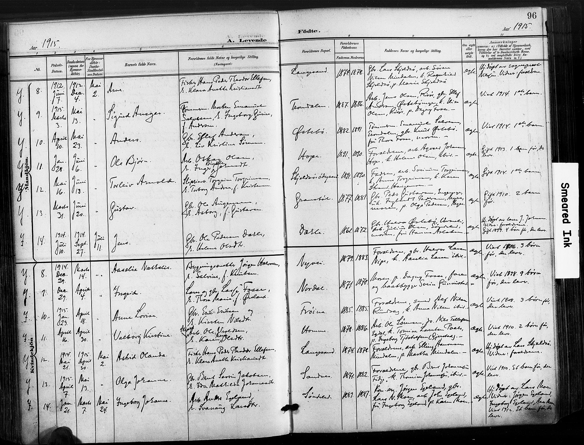 Søndeled sokneprestkontor, SAK/1111-0038/F/Fa/L0006: Parish register (official) no. A 6, 1900-1922, p. 96