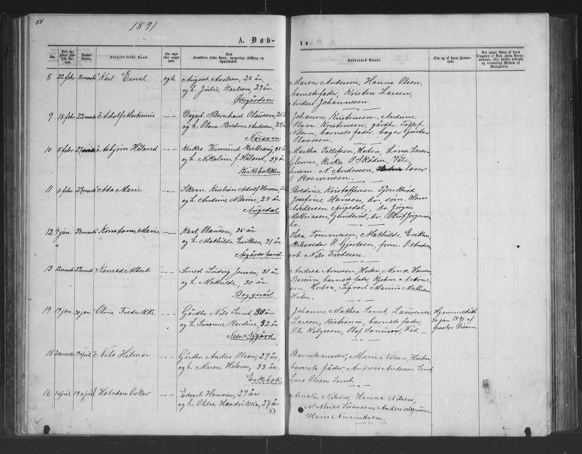 Borre kirkebøker, AV/SAKO-A-338/G/Ga/L0003: Parish register (copy) no. I 3, 1871-1892, p. 88