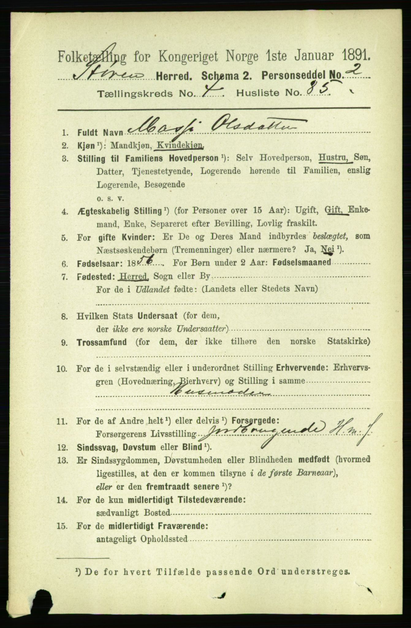 RA, 1891 census for 1648 Støren, 1891, p. 1870