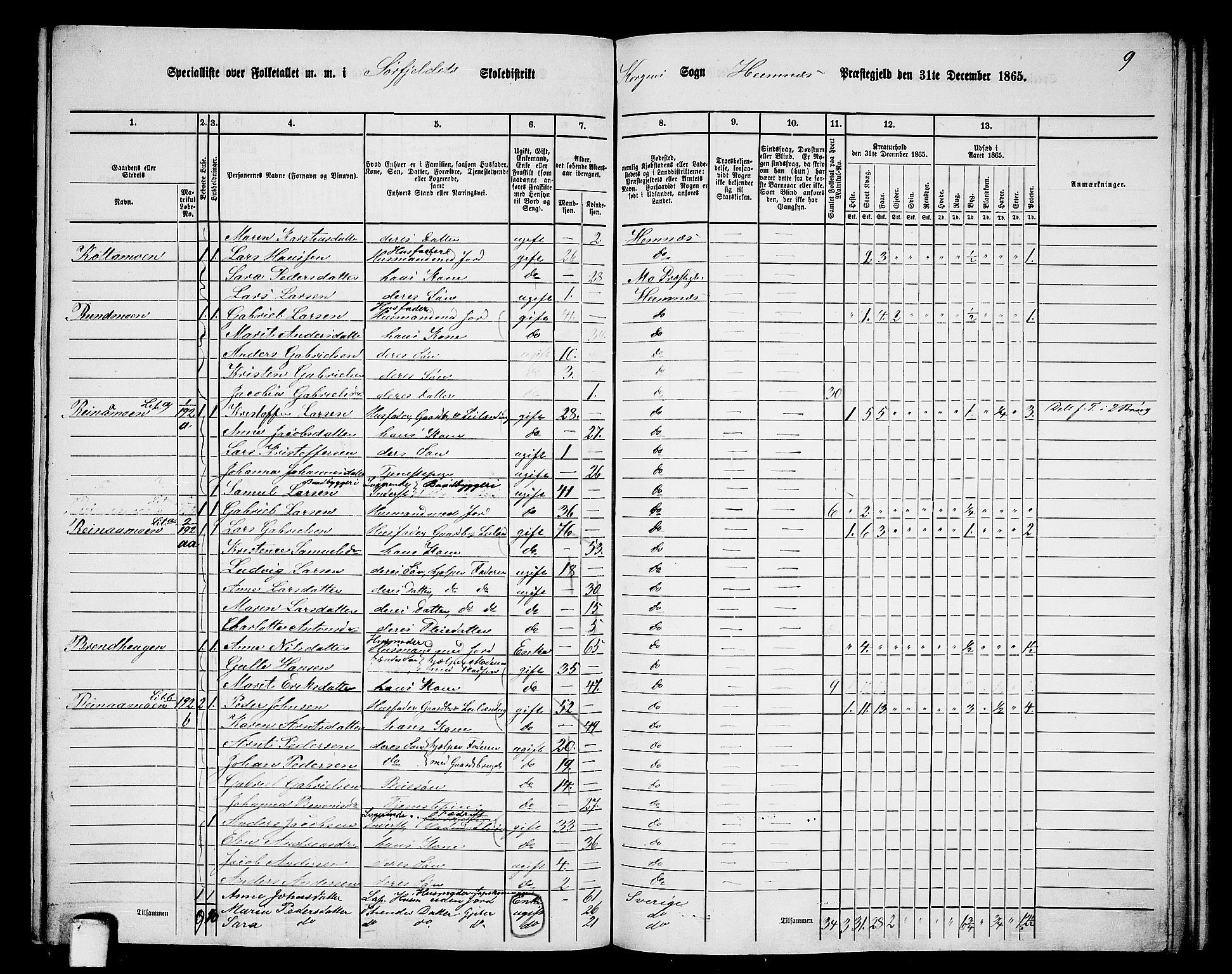 RA, 1865 census for Hemnes, 1865, p. 137