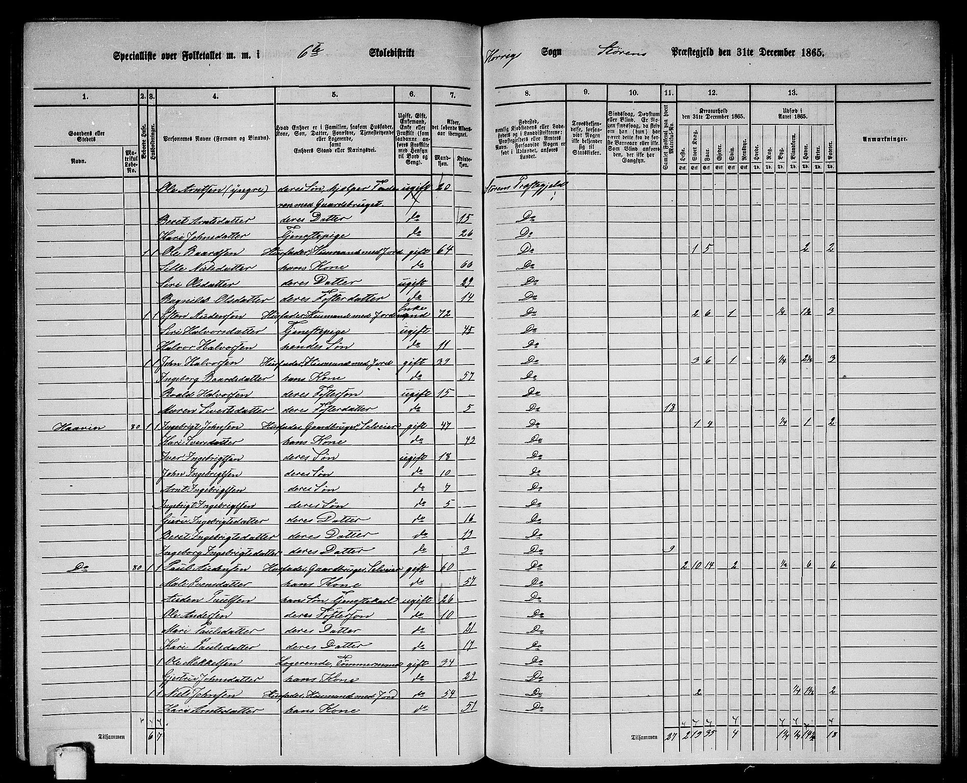 RA, 1865 census for Støren, 1865, p. 206