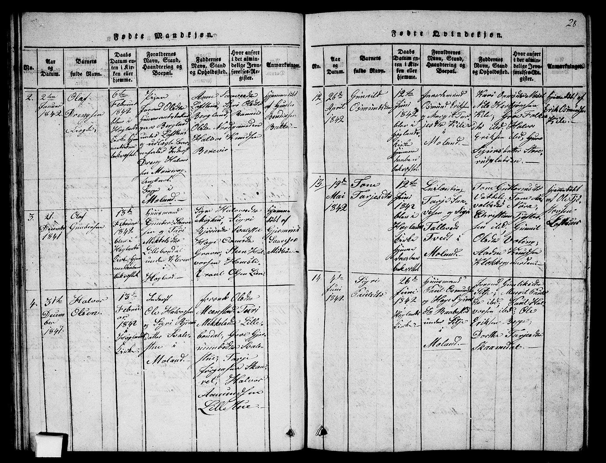 Fyresdal kirkebøker, AV/SAKO-A-263/G/Ga/L0002: Parish register (copy) no. I 2, 1815-1857, p. 28