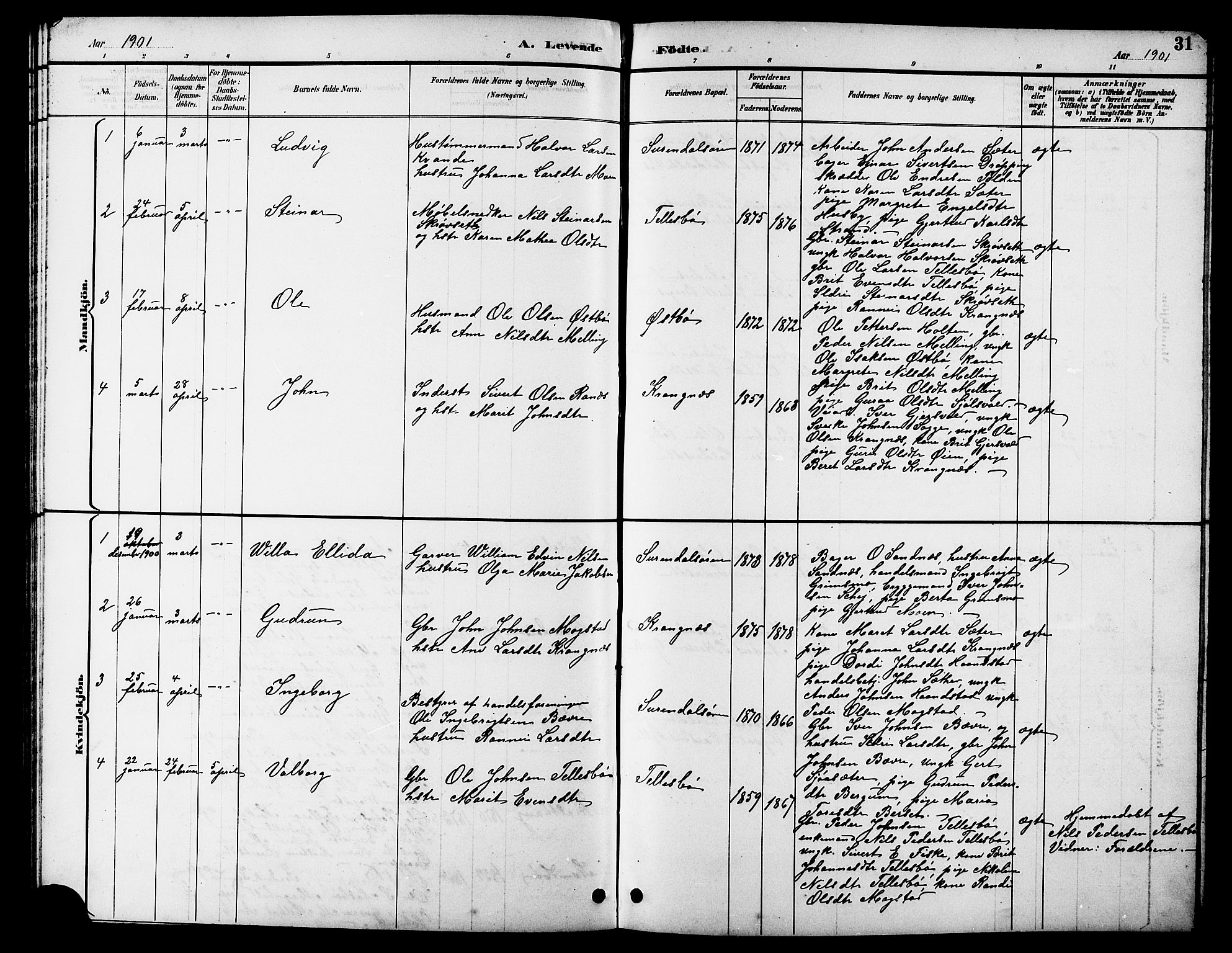 Ministerialprotokoller, klokkerbøker og fødselsregistre - Møre og Romsdal, AV/SAT-A-1454/596/L1058: Parish register (copy) no. 596C01, 1891-1907, p. 31