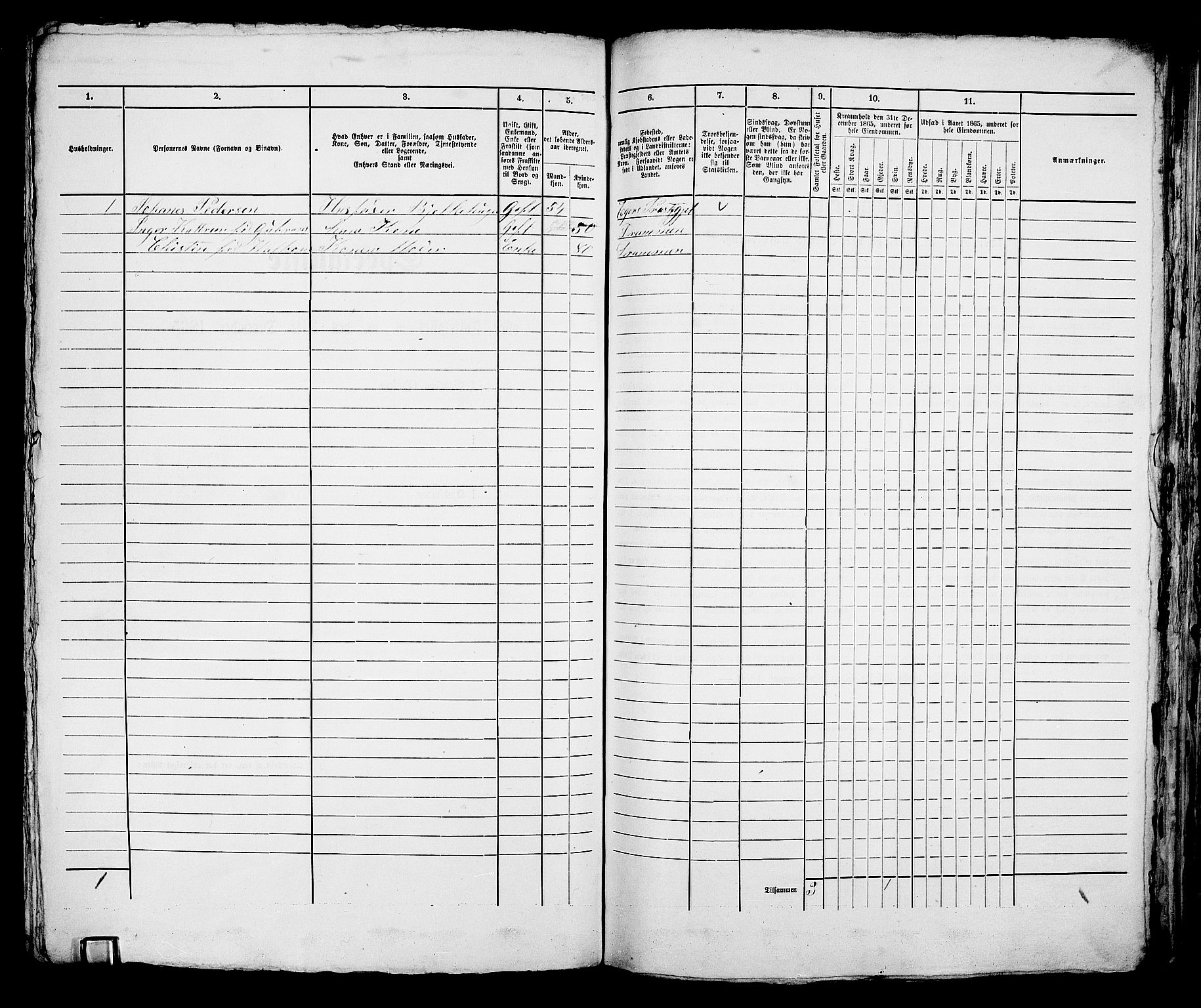 RA, 1865 census for Bragernes in Drammen, 1865, p. 1041