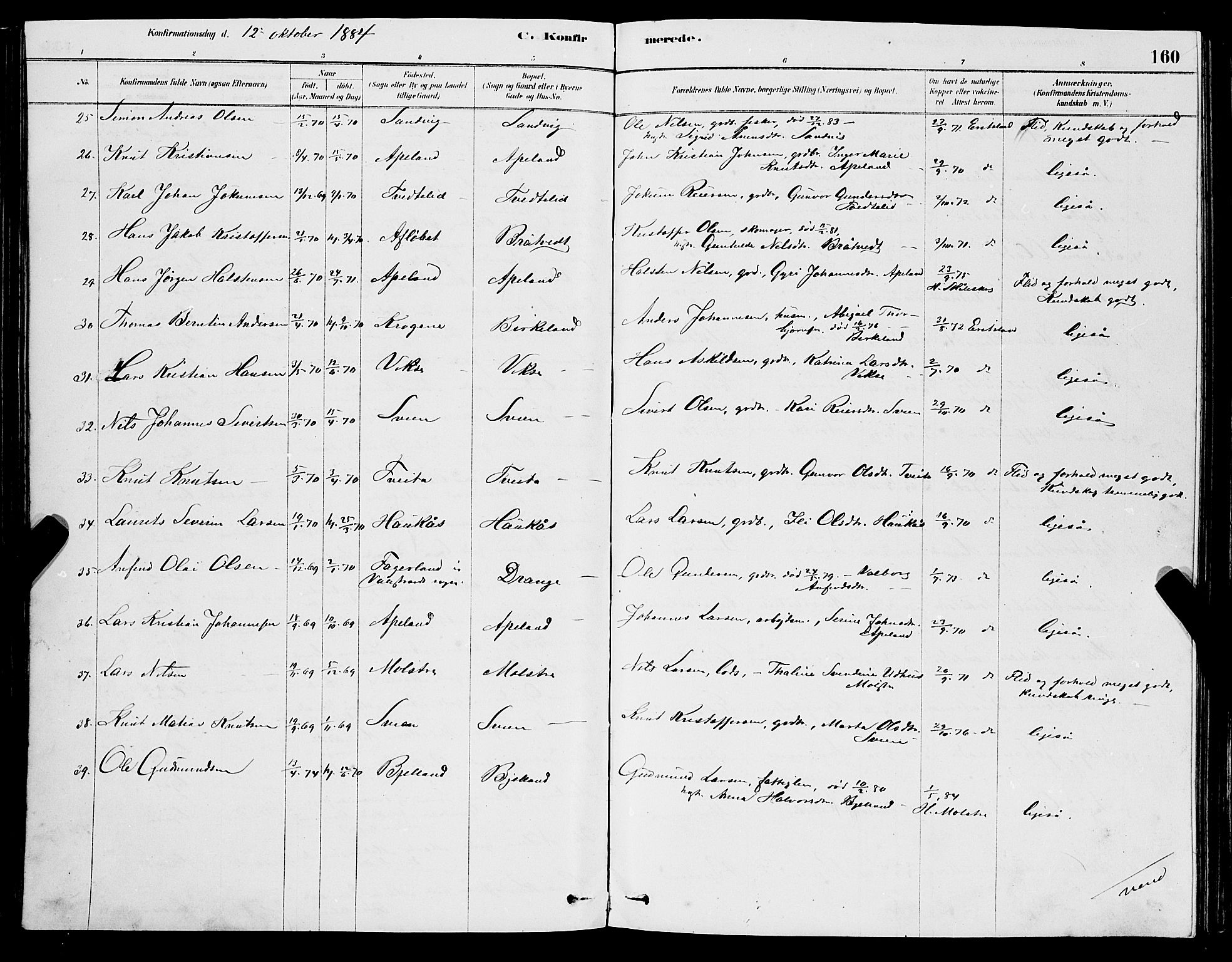 Sveio Sokneprestembete, AV/SAB-A-78501/H/Hab: Parish register (copy) no. A 3, 1878-1896, p. 160