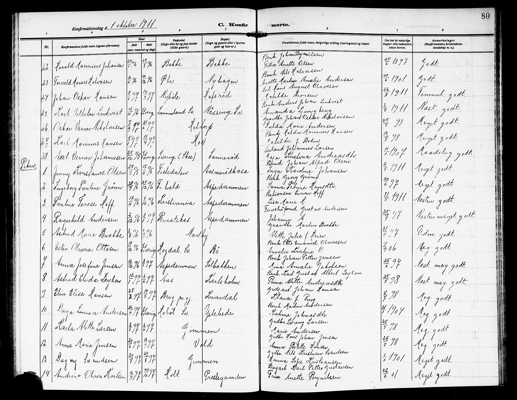 Idd prestekontor Kirkebøker, AV/SAO-A-10911/G/Gb/L0002: Parish register (copy) no. II 2, 1907-1913, p. 80
